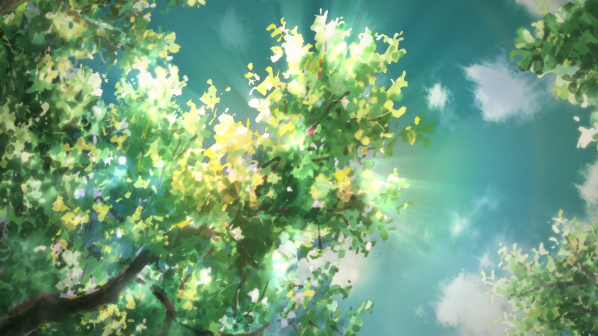 Sunlight filtering through green leaves in the sky HD Wallpaper