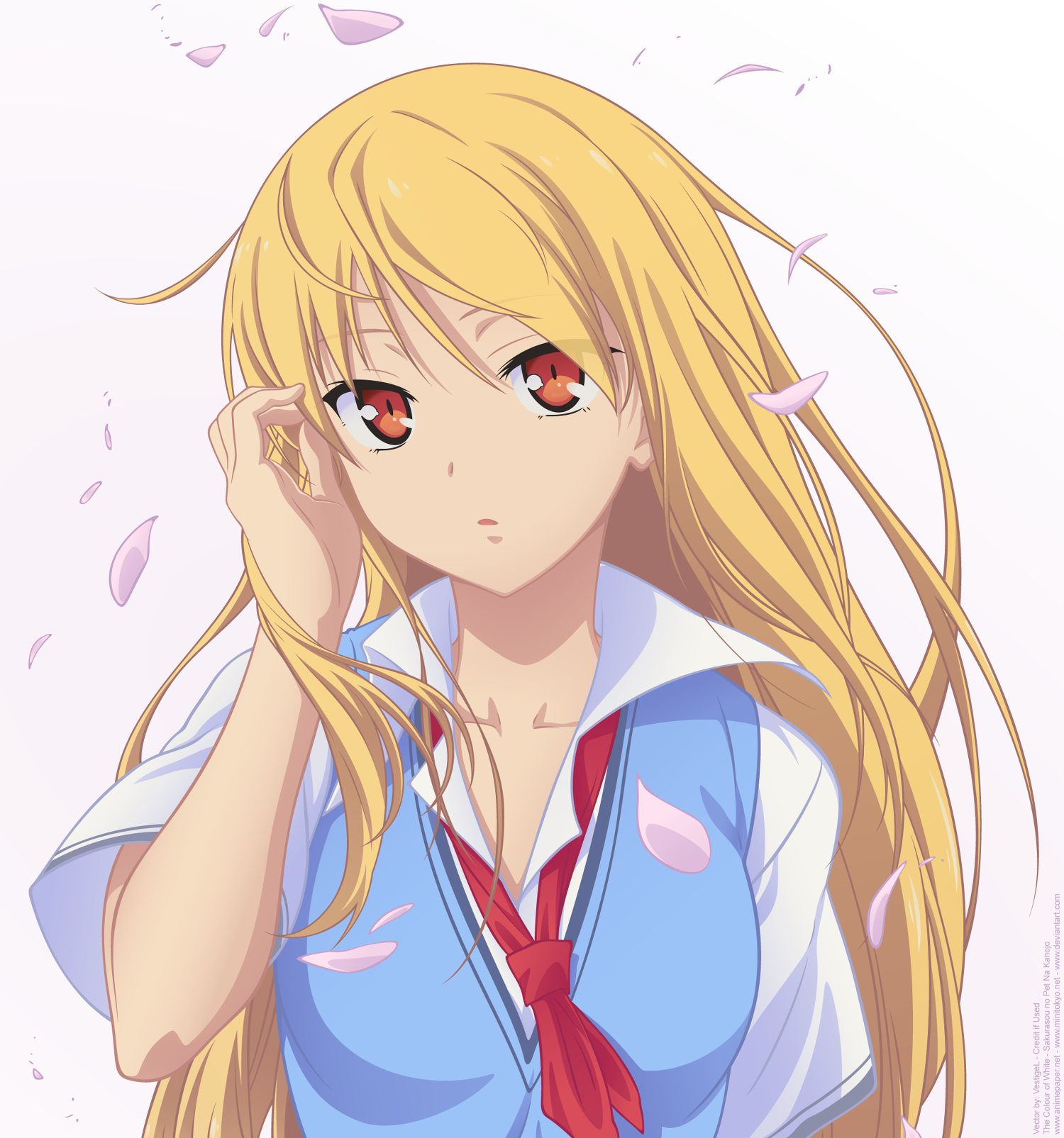 Shiina Mashiro from Sakurasou no Pet na Kanojo HD Wallpaper