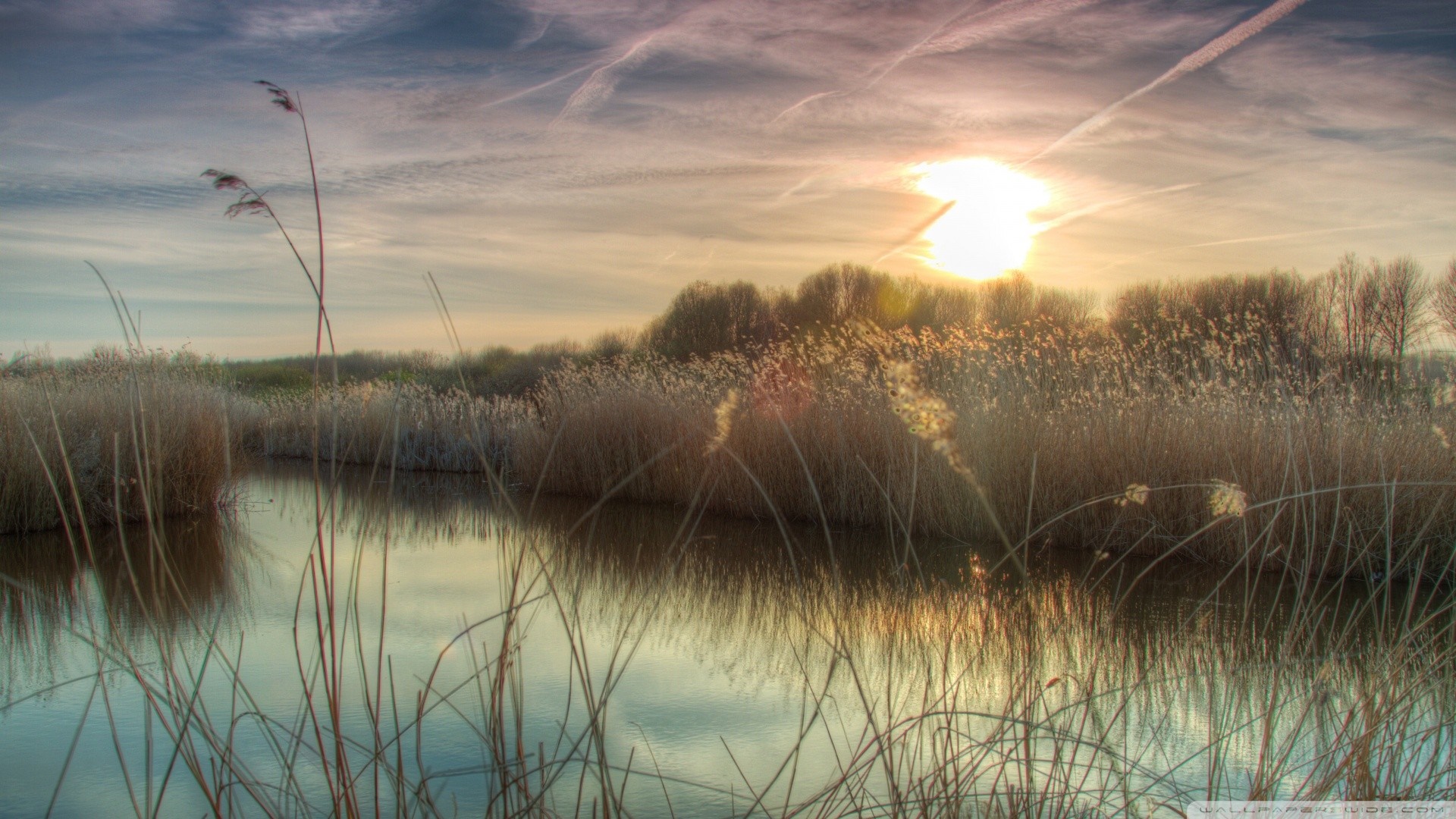 Sunset over a marsh with reeds and reflection HD Wallpaper