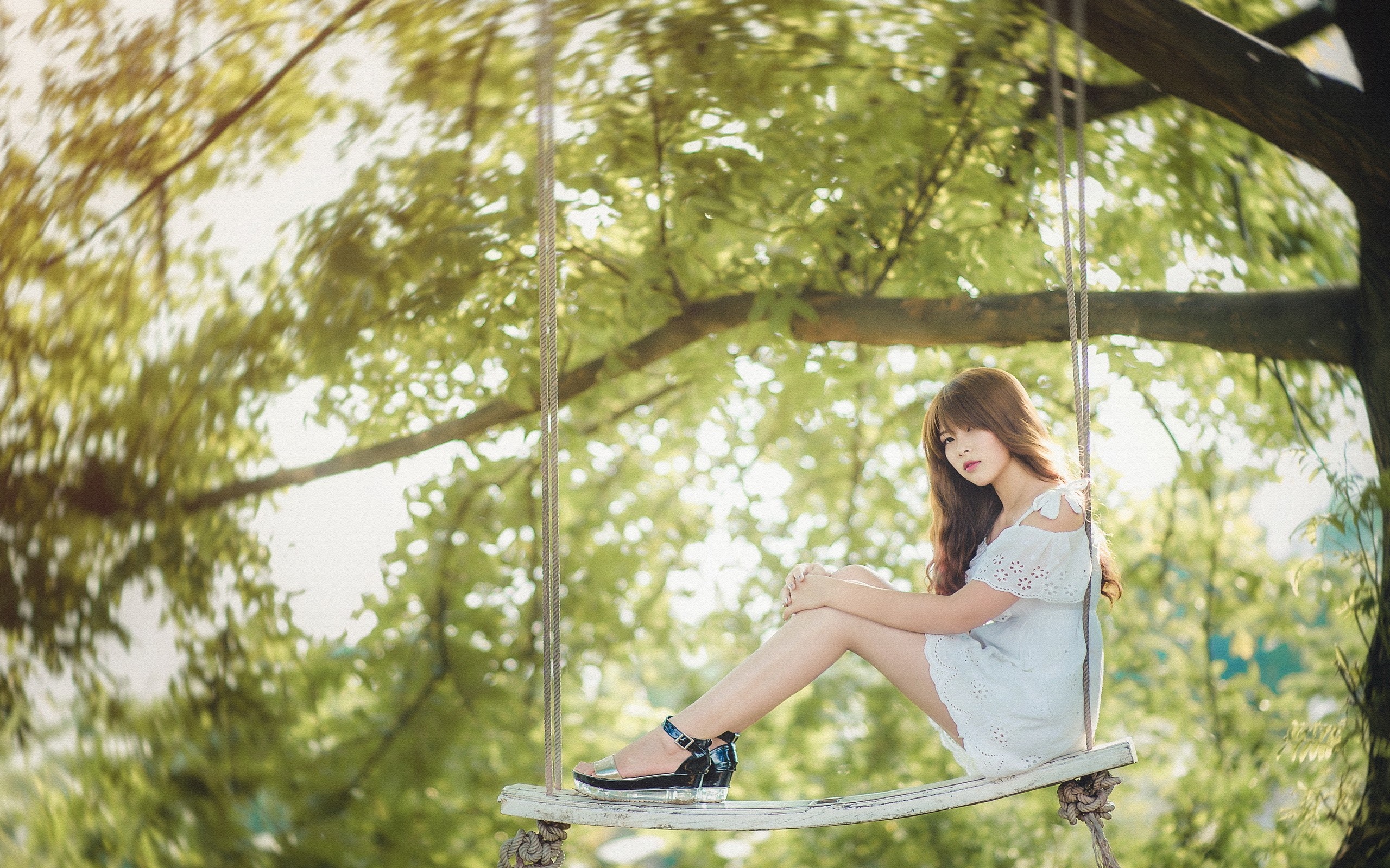 Woman sitting on a swing under a tree HD Wallpaper