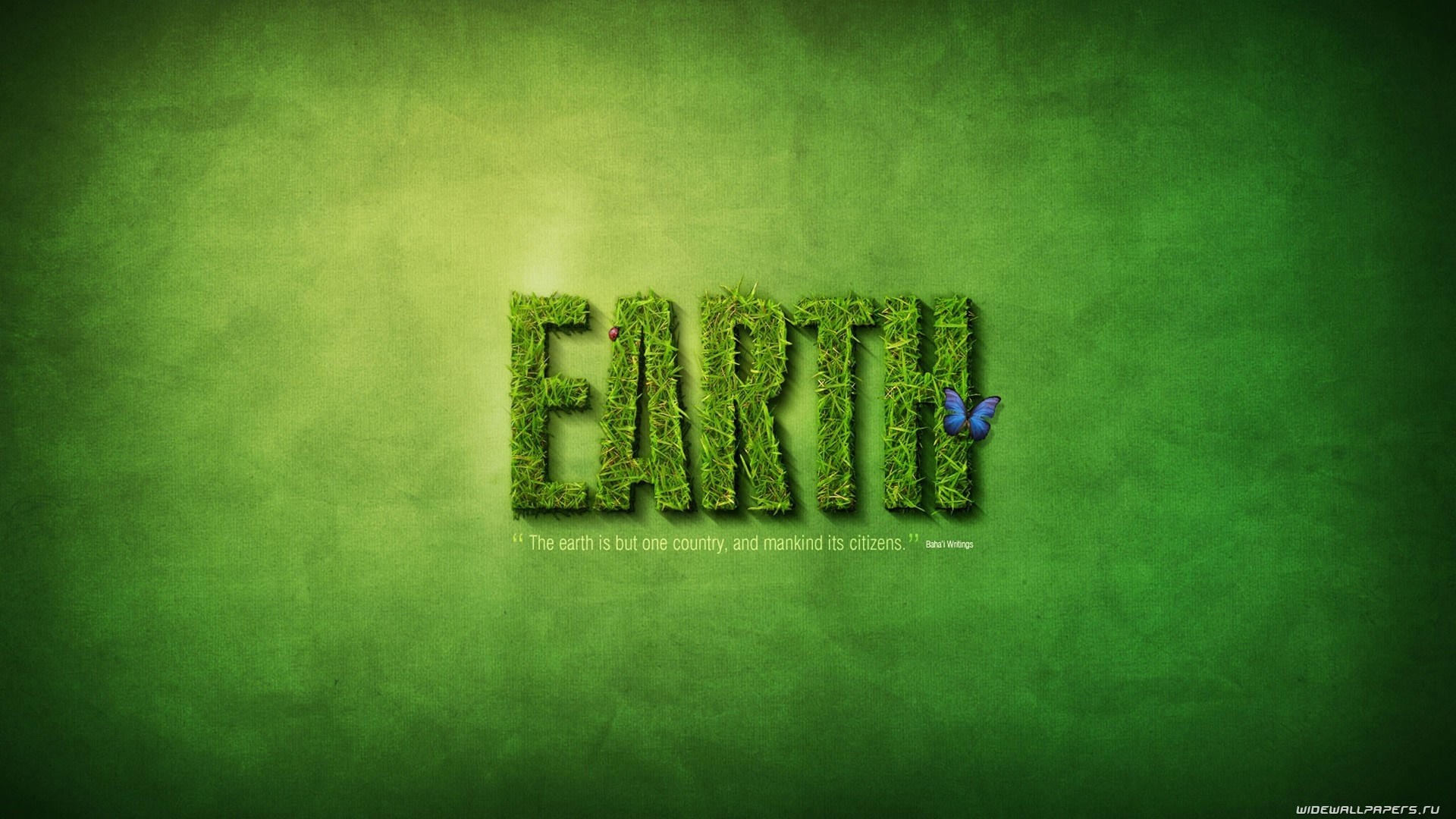 EARTH text with butterfly and ladybug HD Wallpaper
