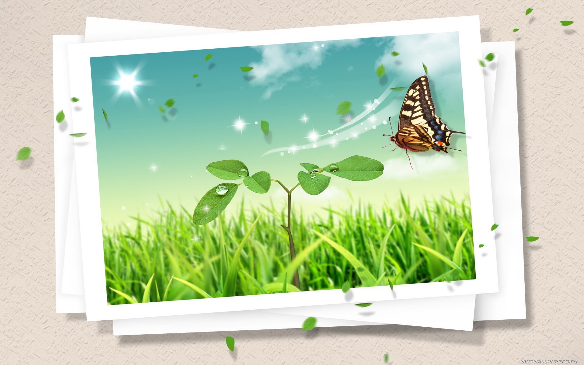 Illustration of a butterfly over a plant and grass HD Wallpaper