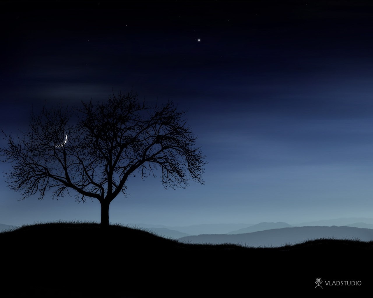 Silhouette of a bare tree against a twilight sky HD Wallpaper