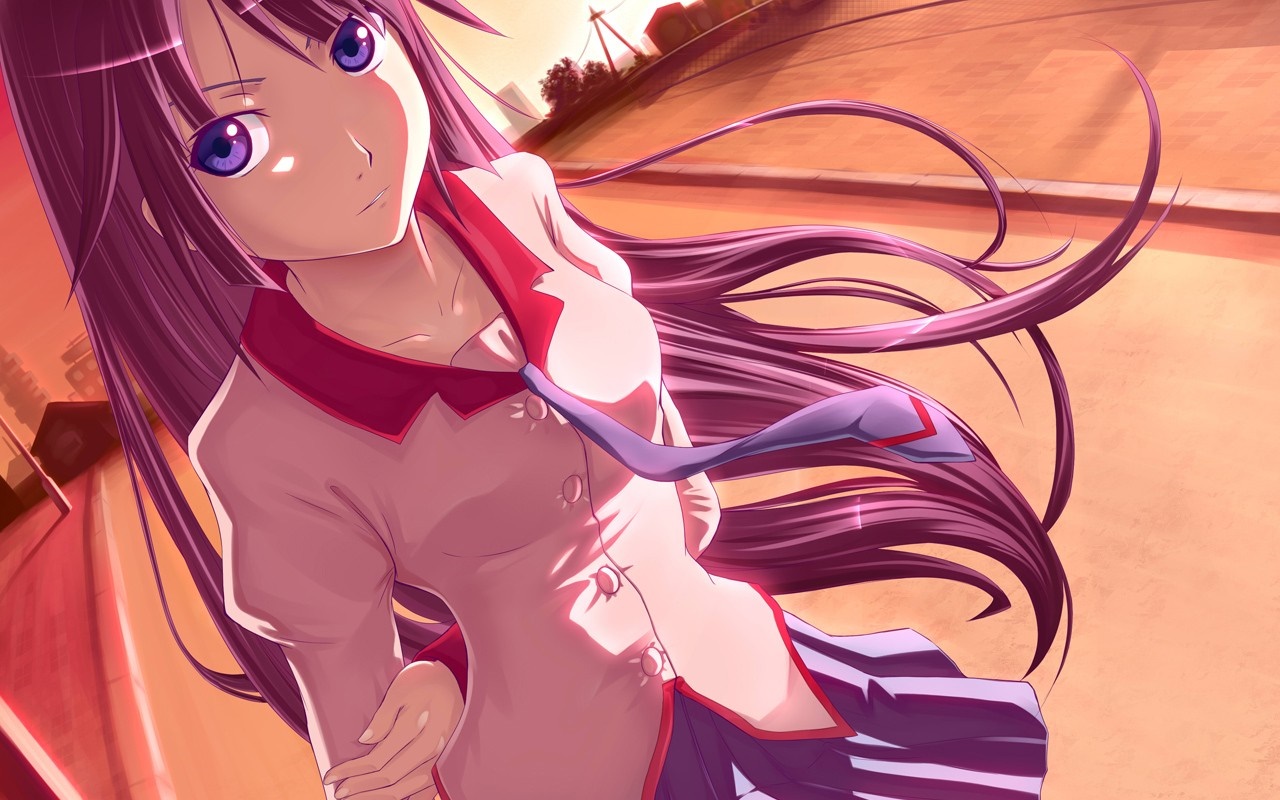 Senjougahara Hitagi from Monogatari Series illustration HD Wallpaper