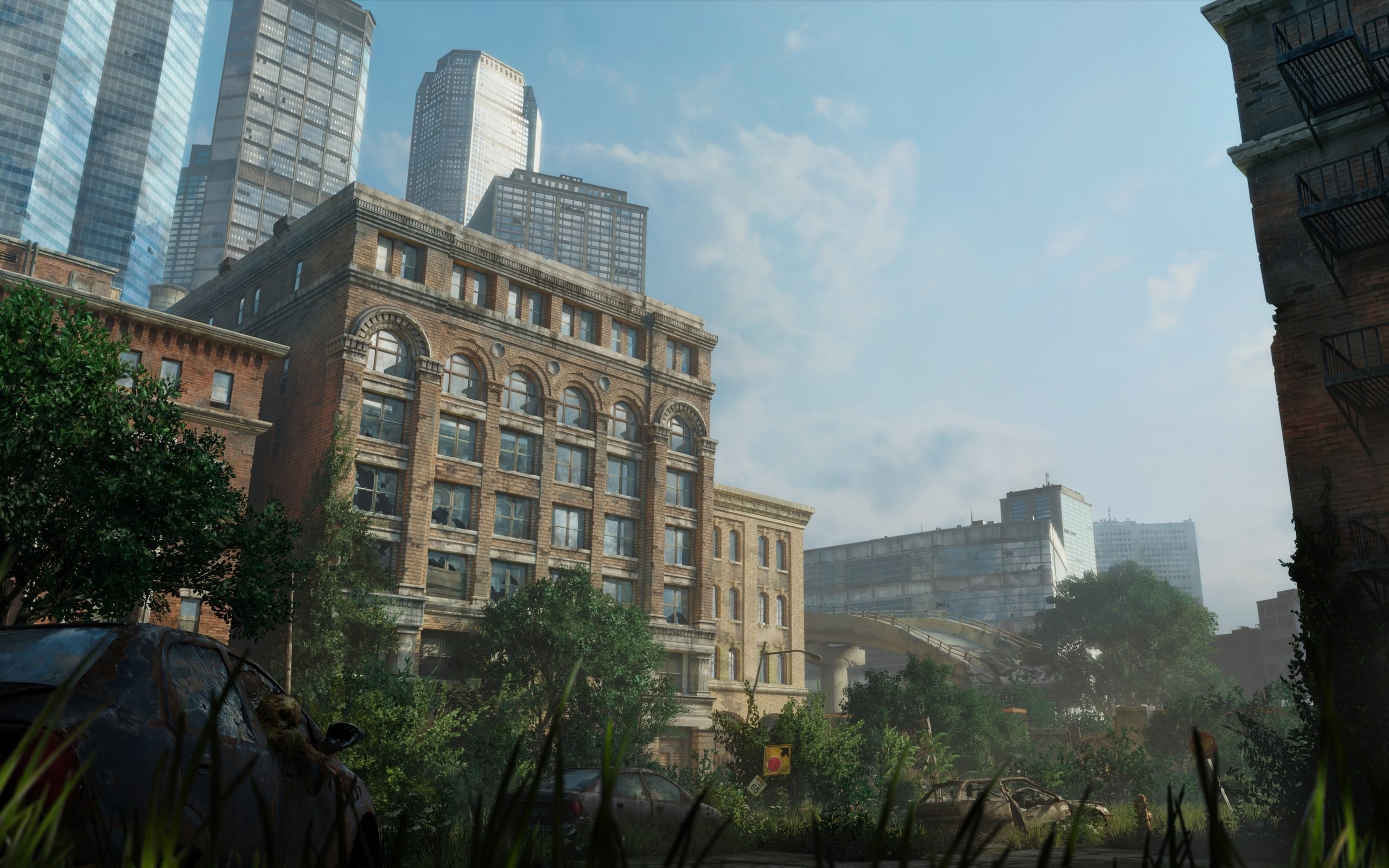The Last of Us cityscape with abandoned buildings and cars HD Wallpaper