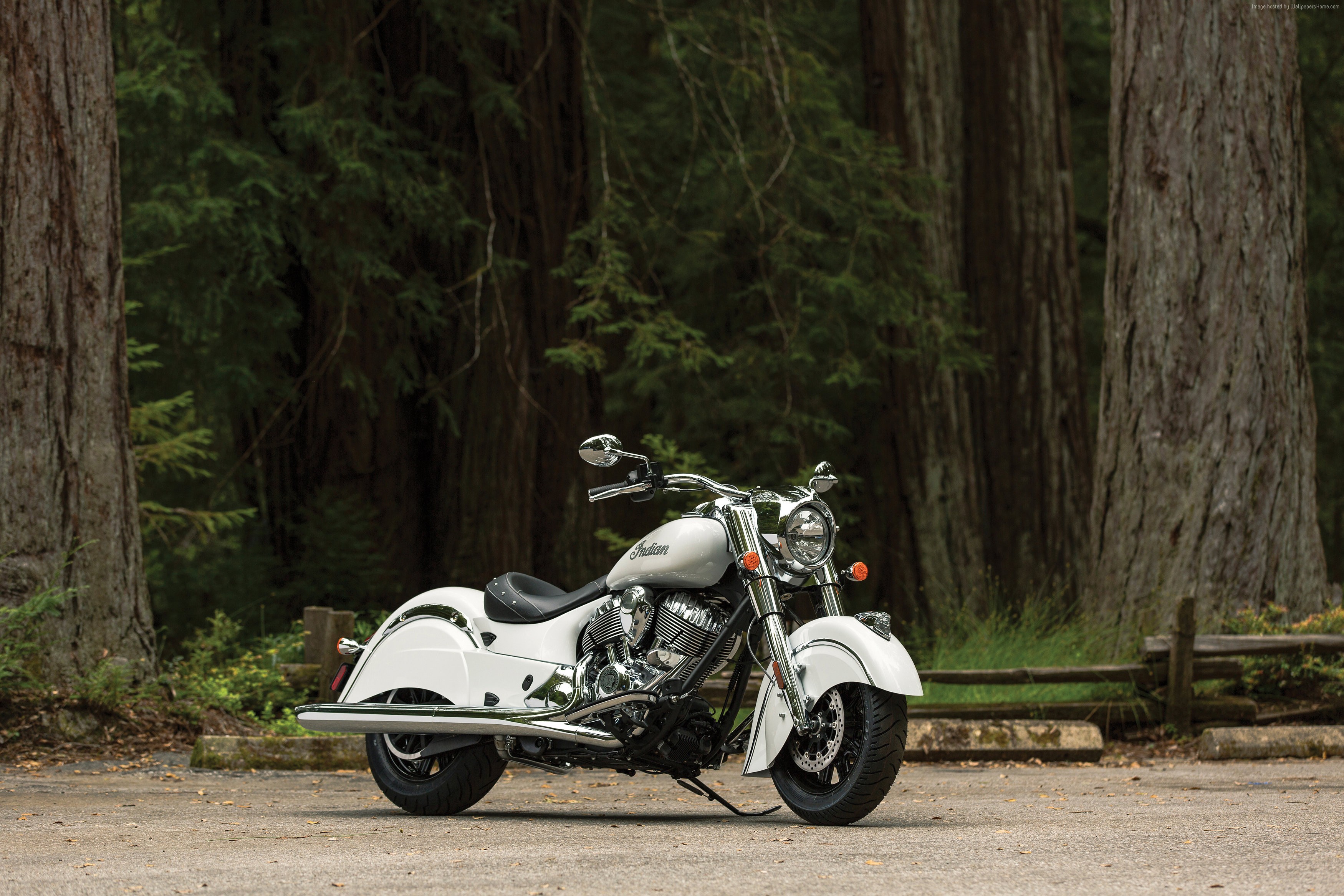 White Indian Chief Classic motorcycle in a forest HD Wallpaper