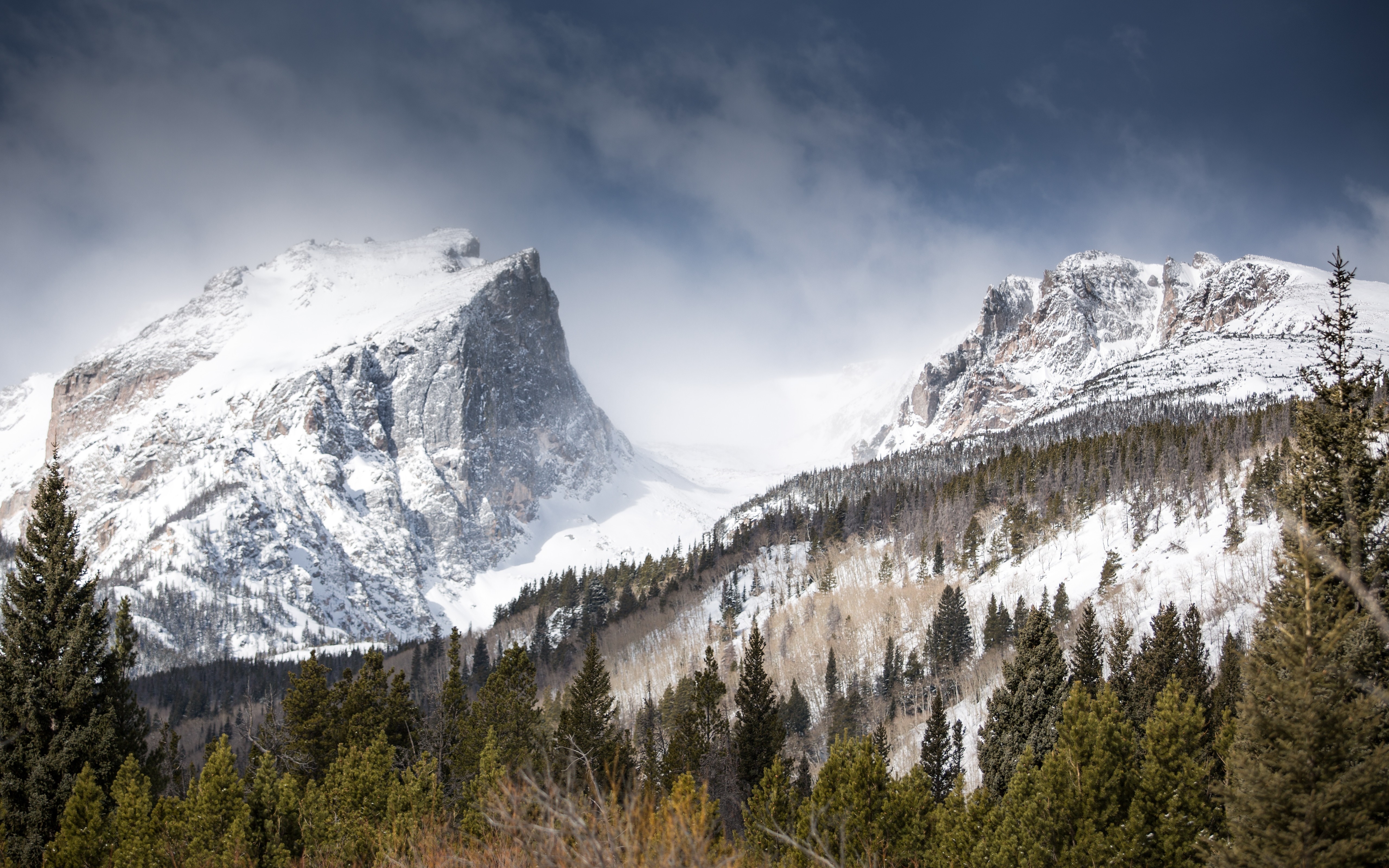 Snowy mountains with pine forest and cloudy sky HD Wallpaper