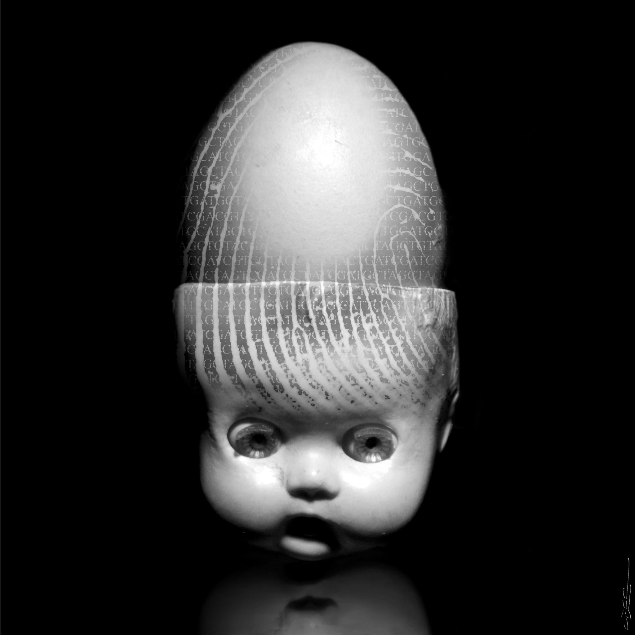 Doll head with egg and DNA sequence HD Wallpaper