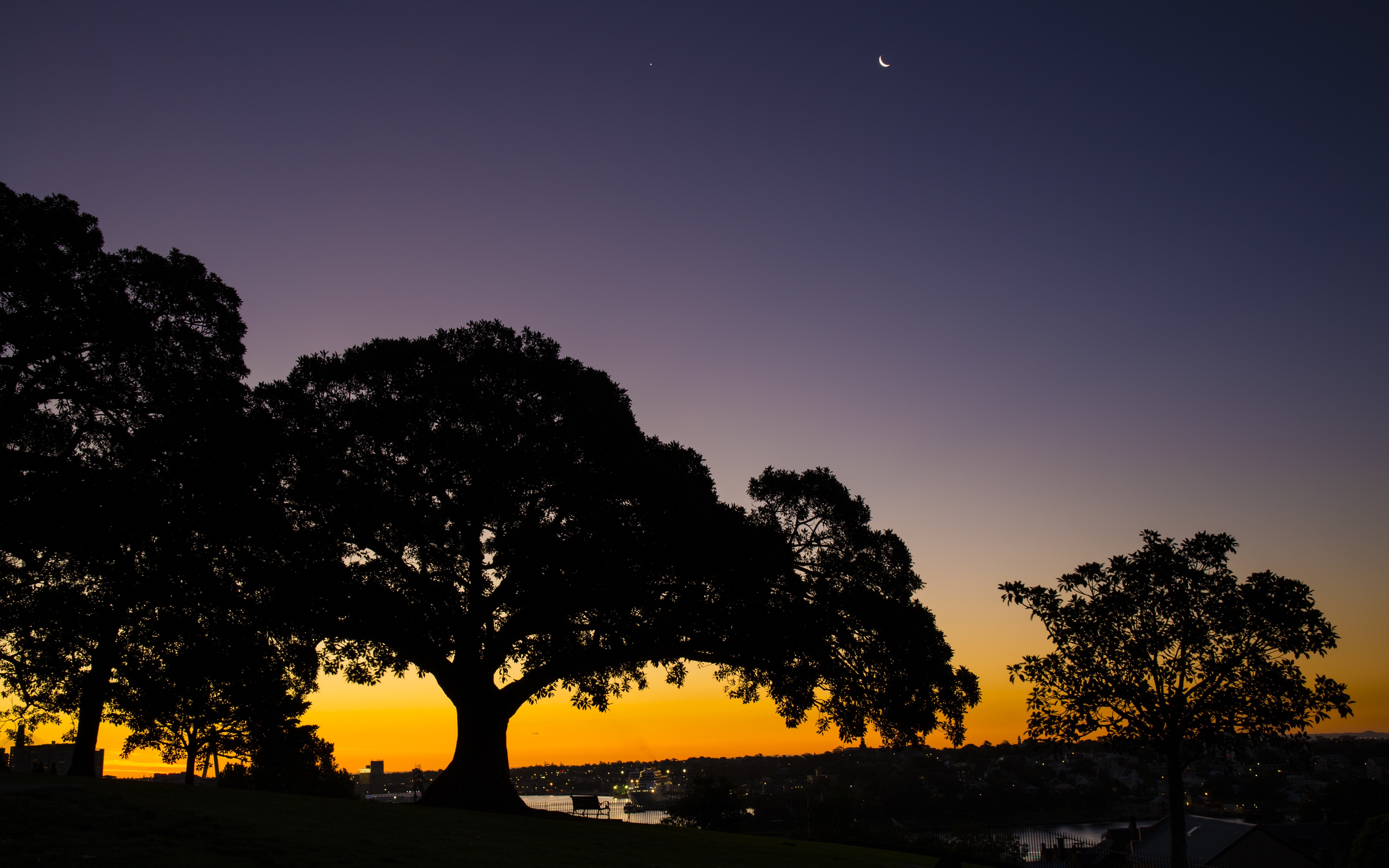 Silhouette of trees against a sunset sky with moon HD Wallpaper