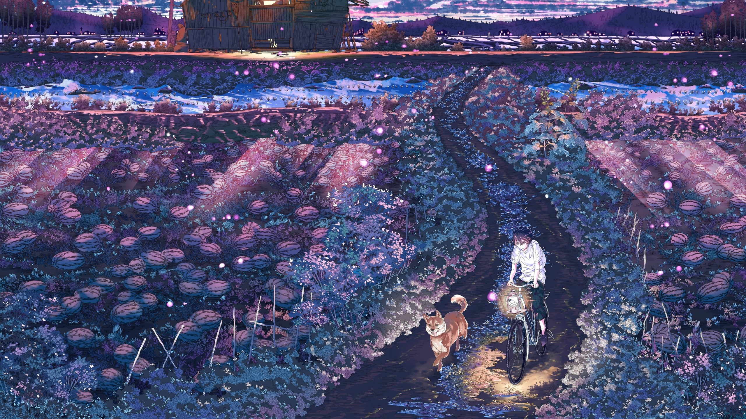 Anime landscape with a person riding a bicycle and a dog HD Wallpaper