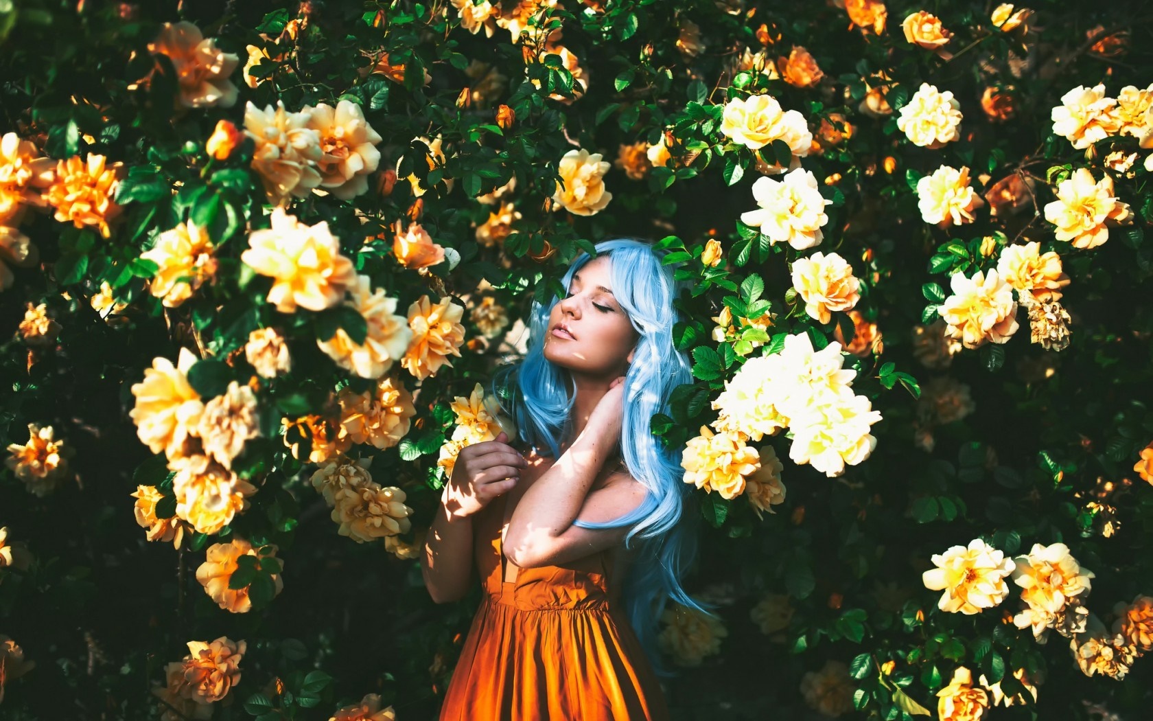 Woman with blue dyed hair in a field of yellow flowers HD Wallpaper
