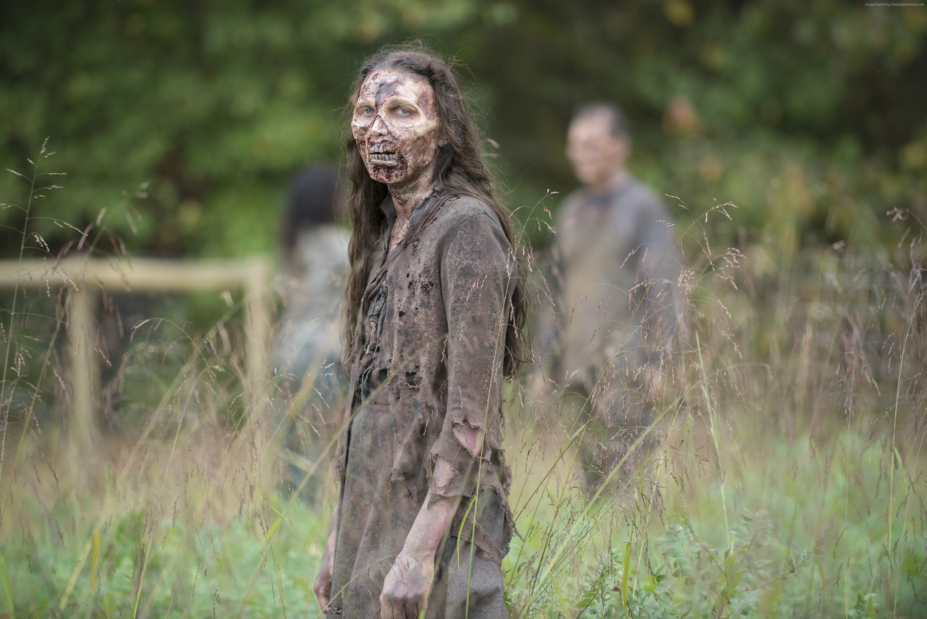 Zombie from Fear the Walking Dead in a field HD Wallpaper