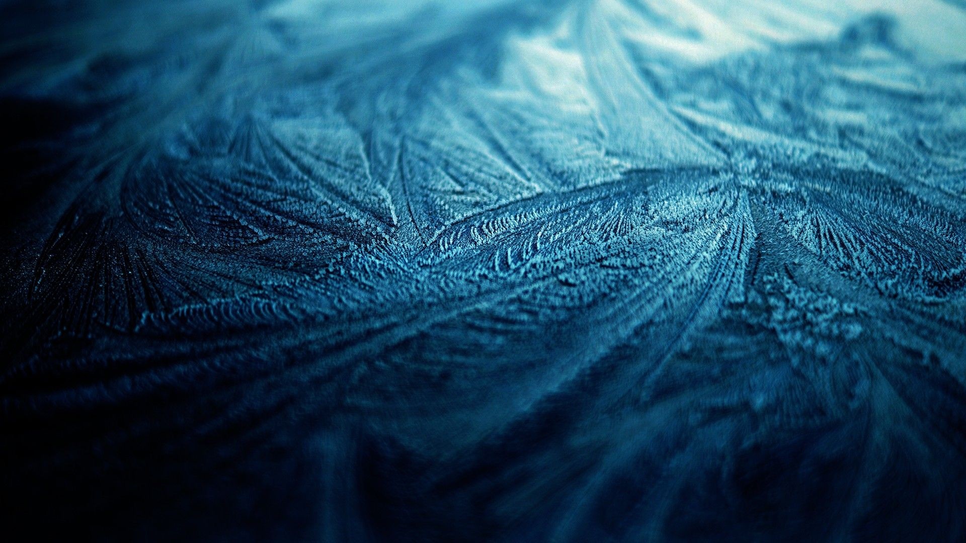 Close up of blue frost patterns HD Wallpaper
