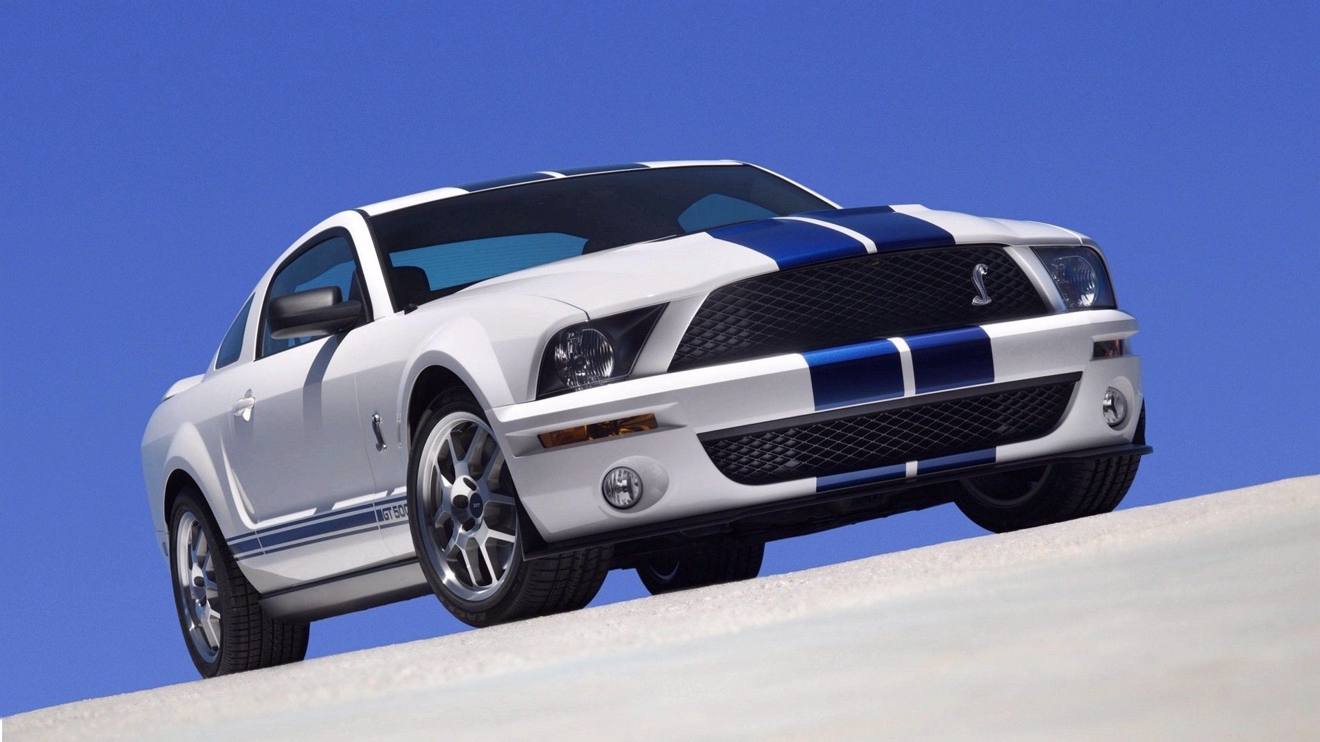 White Ford Shelby GT500 Mustang with blue stripes HD Wallpaper