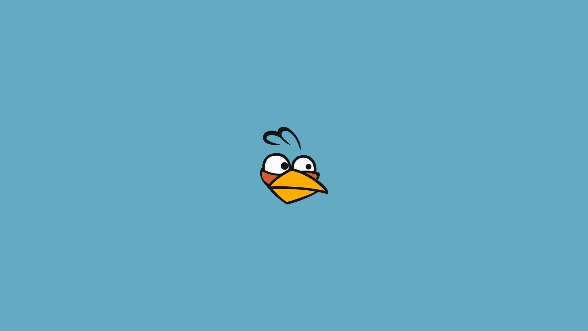 Jay from Angry Birds HD Wallpaper