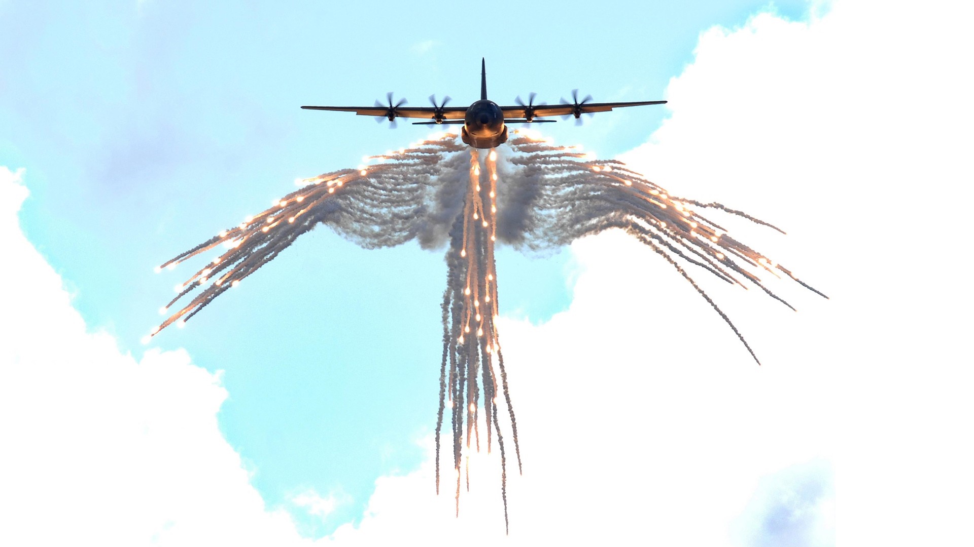 Aircraft Branch Insect Military Aircraft Flares Fly Lockheed C 