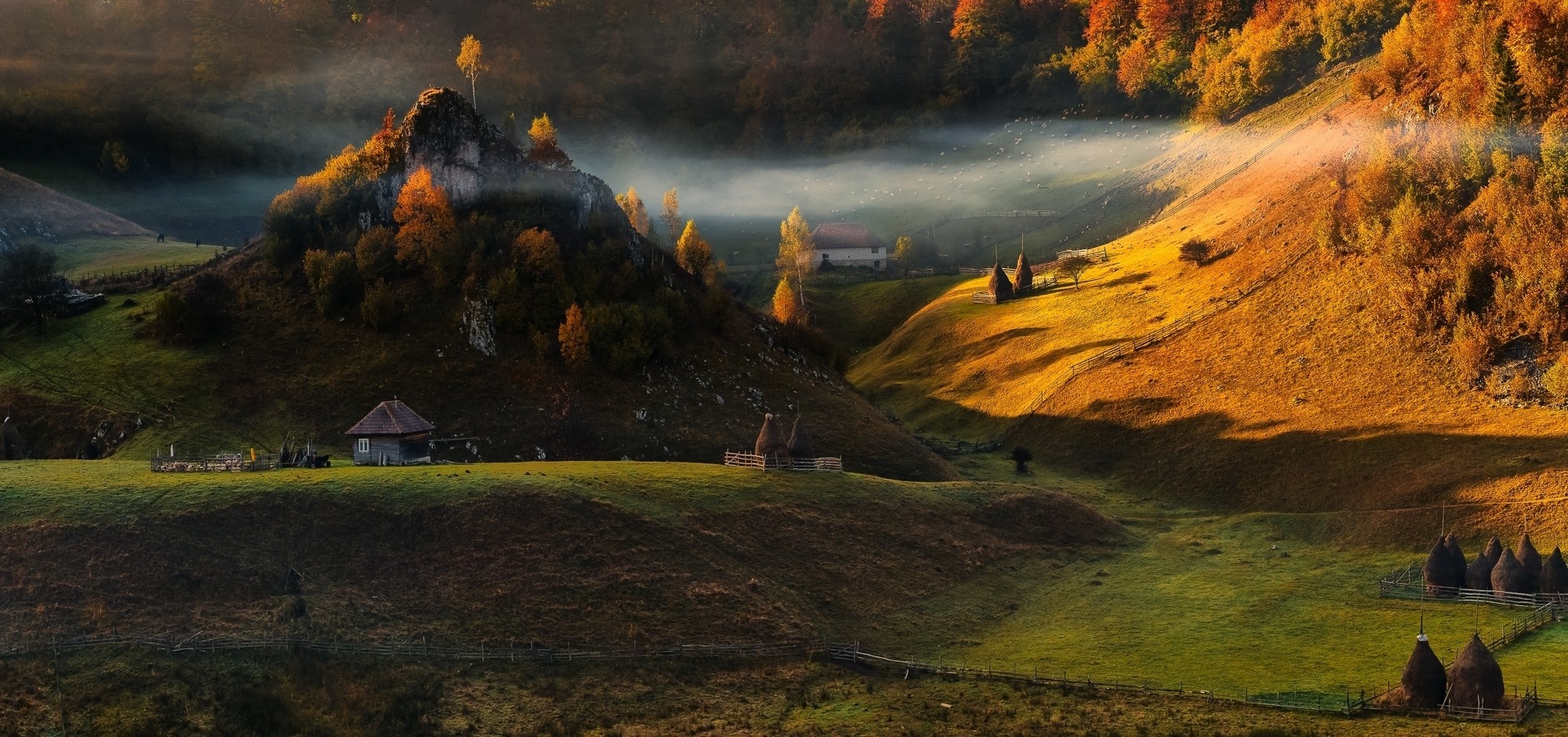 Autumn valley with rolling hills and mist HD Wallpaper
