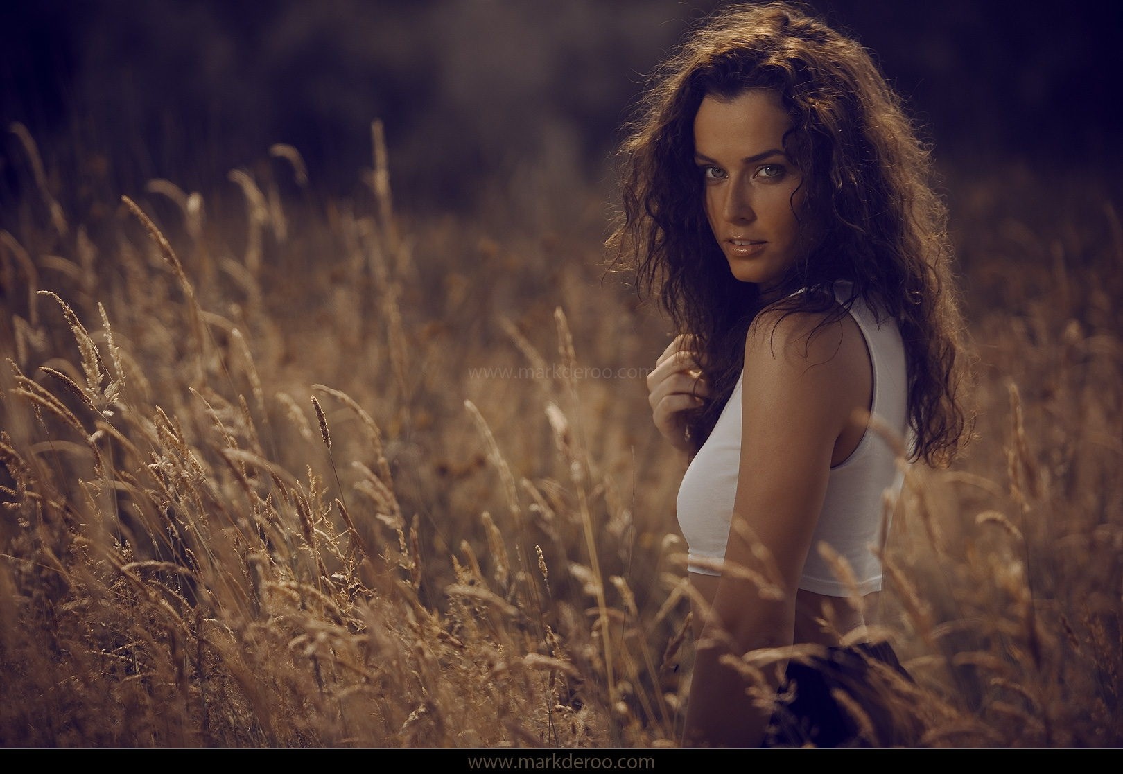 Woman with curly hair in a field of grass HD Wallpaper