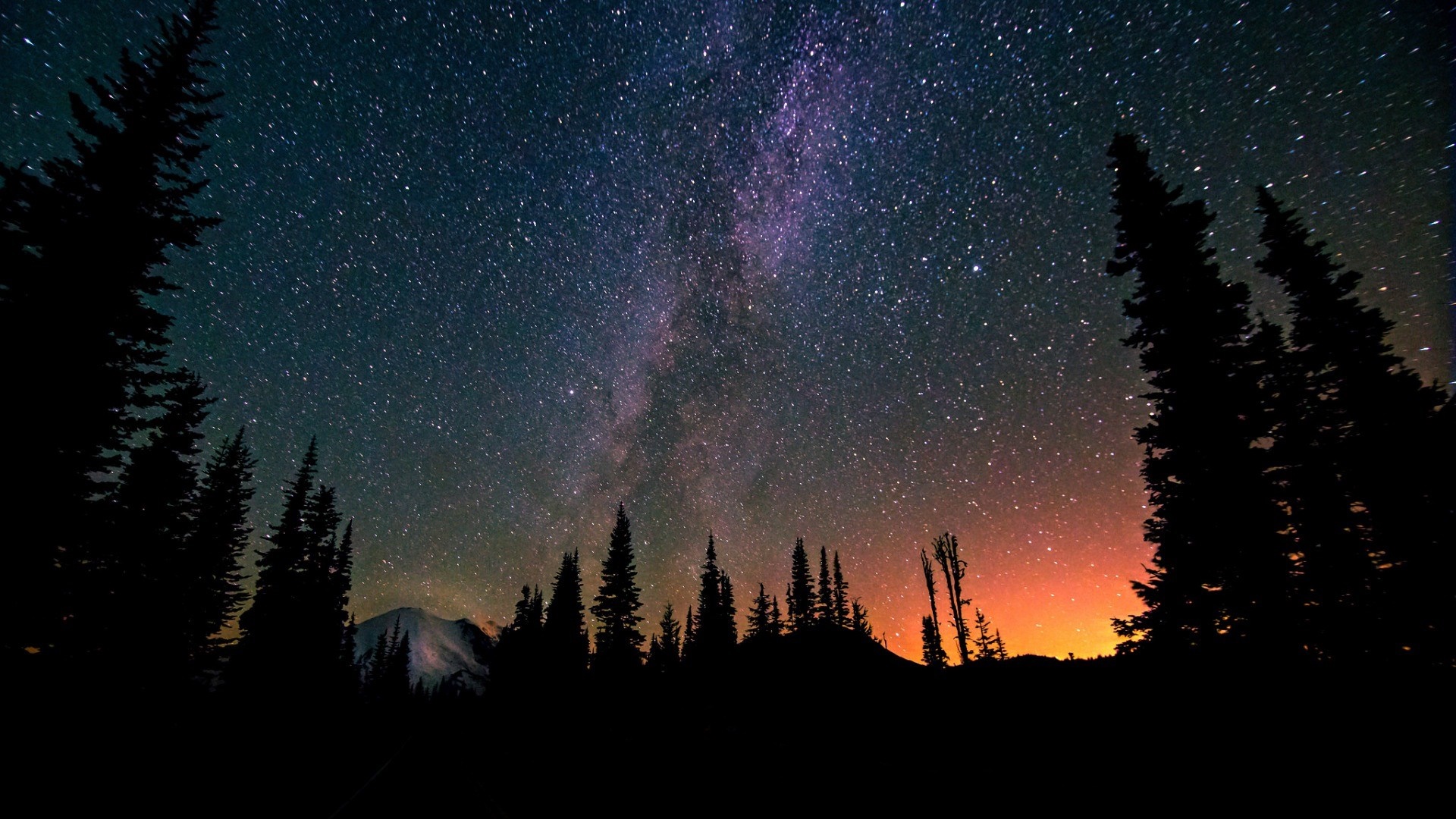 Silhouette of trees against a starry night sky with the Milky Way HD Wallpaper