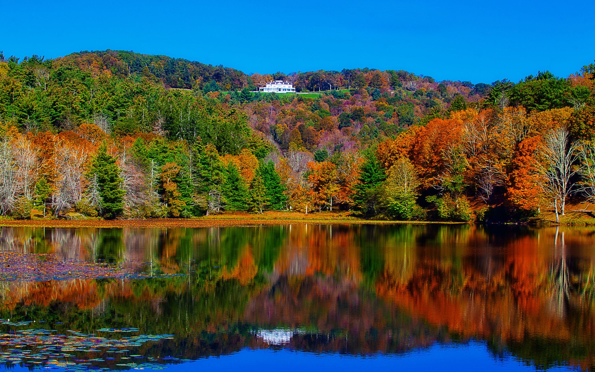 White house on a hill overlooking a lake in autumn HD Wallpaper