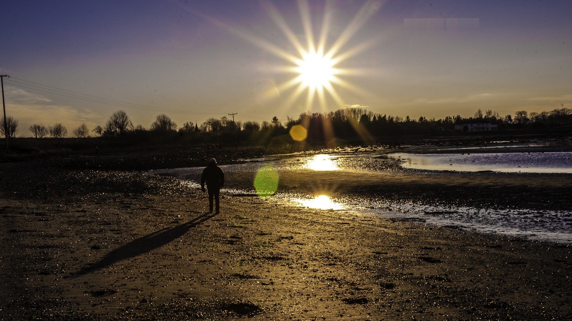 Person walking on a beach at sunset with sun flares HD Wallpaper