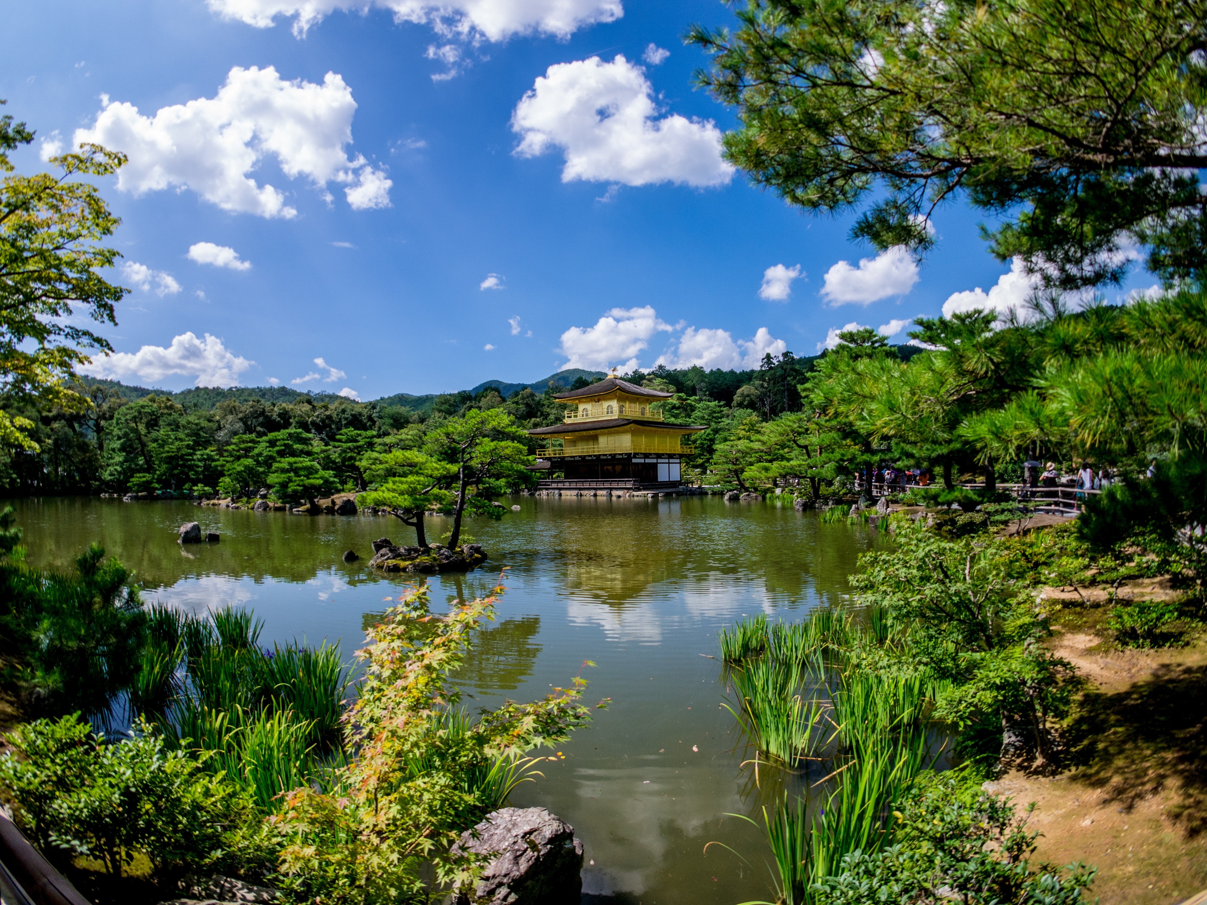 Golden Pavilion reflected in a pond in Kyoto, Japan HD Wallpaper