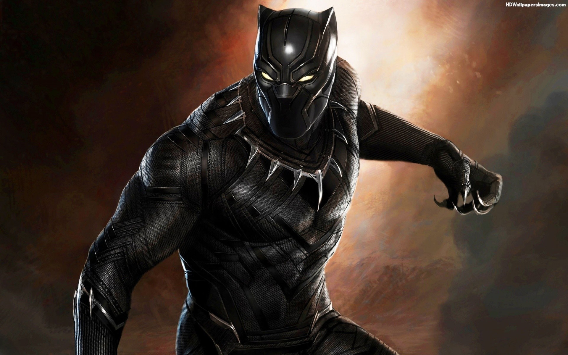 Black Panther from Marvel Cinematic Universe HD Wallpaper