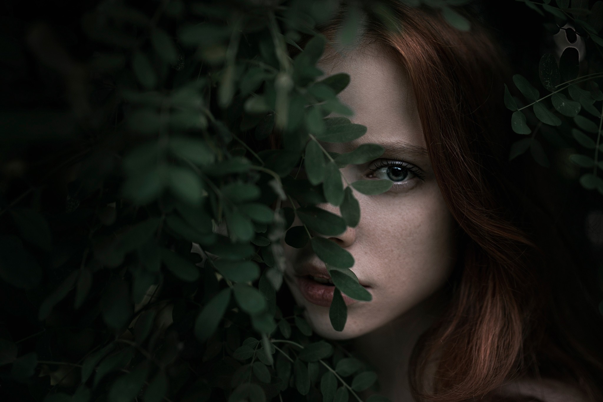 Woman with red hair peeking through green leaves HD Wallpaper
