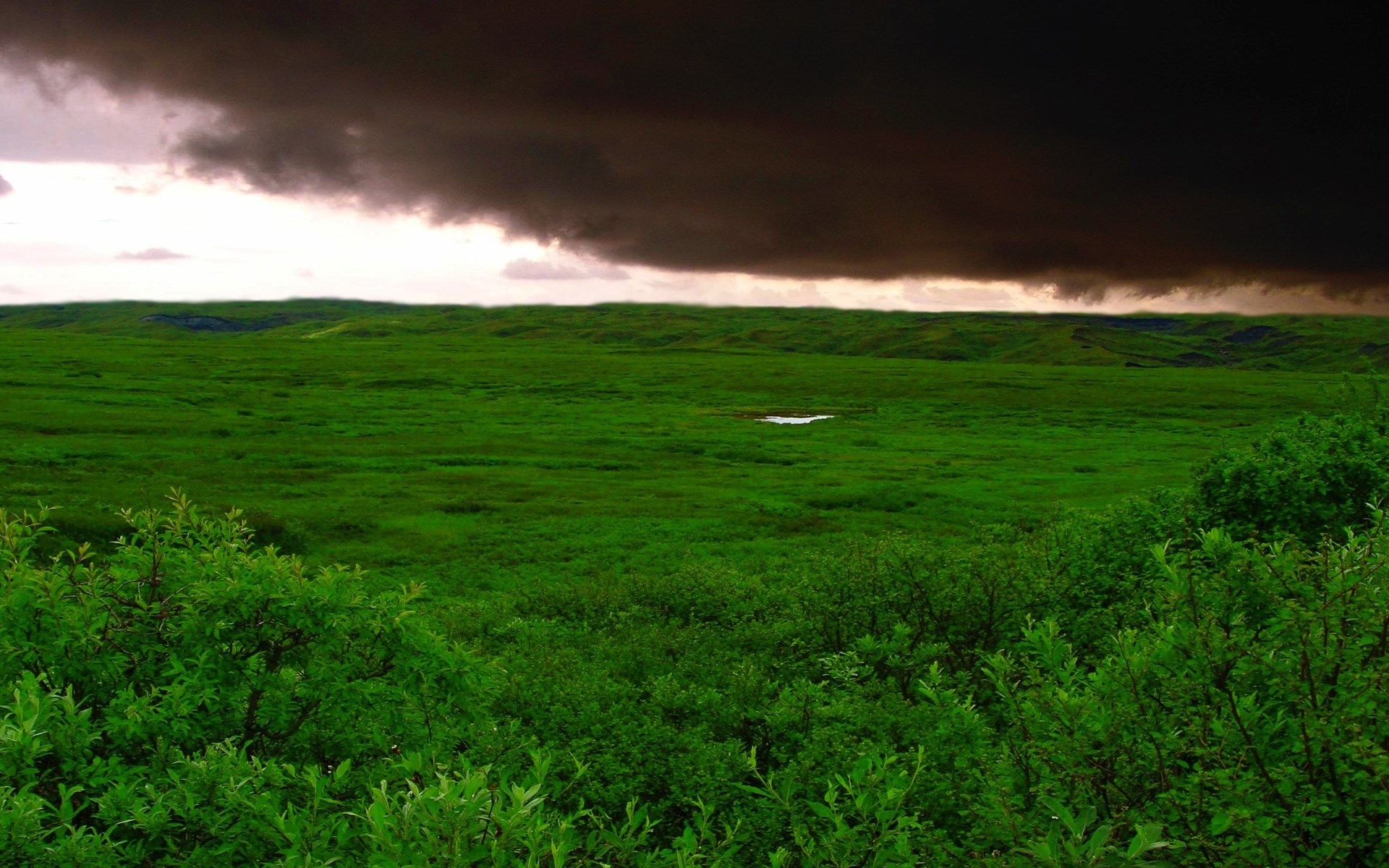 Stormy sky over a green field with bushes HD Wallpaper