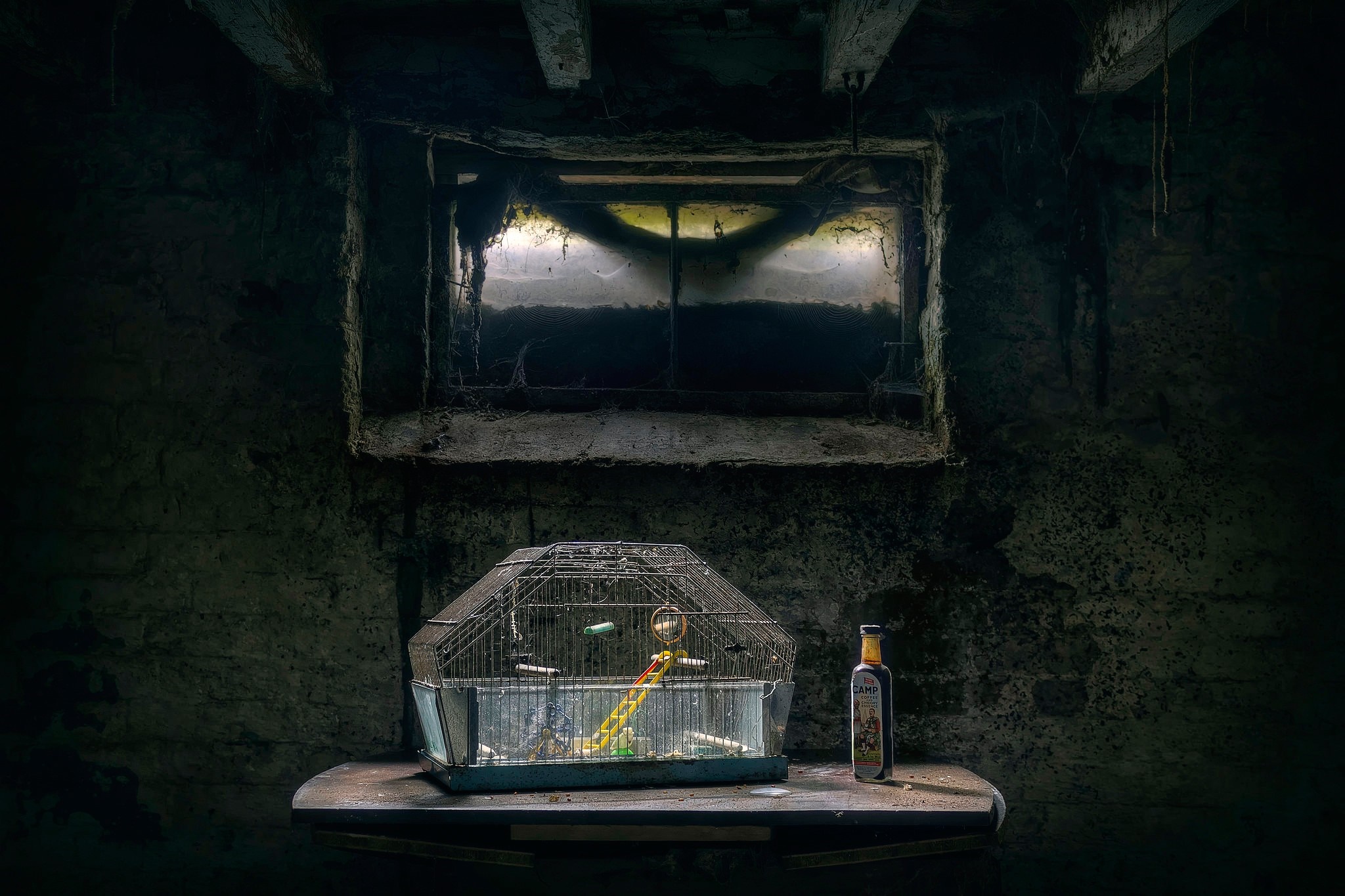 Birdcage and bottle in a dark room HD Wallpaper