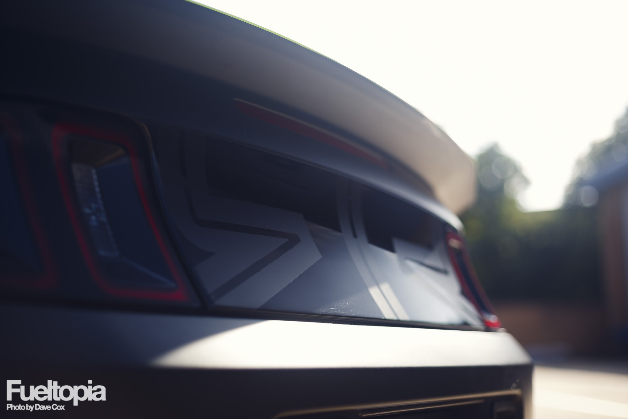 2014 Ford Mustang RTR rear detail HD Wallpaper