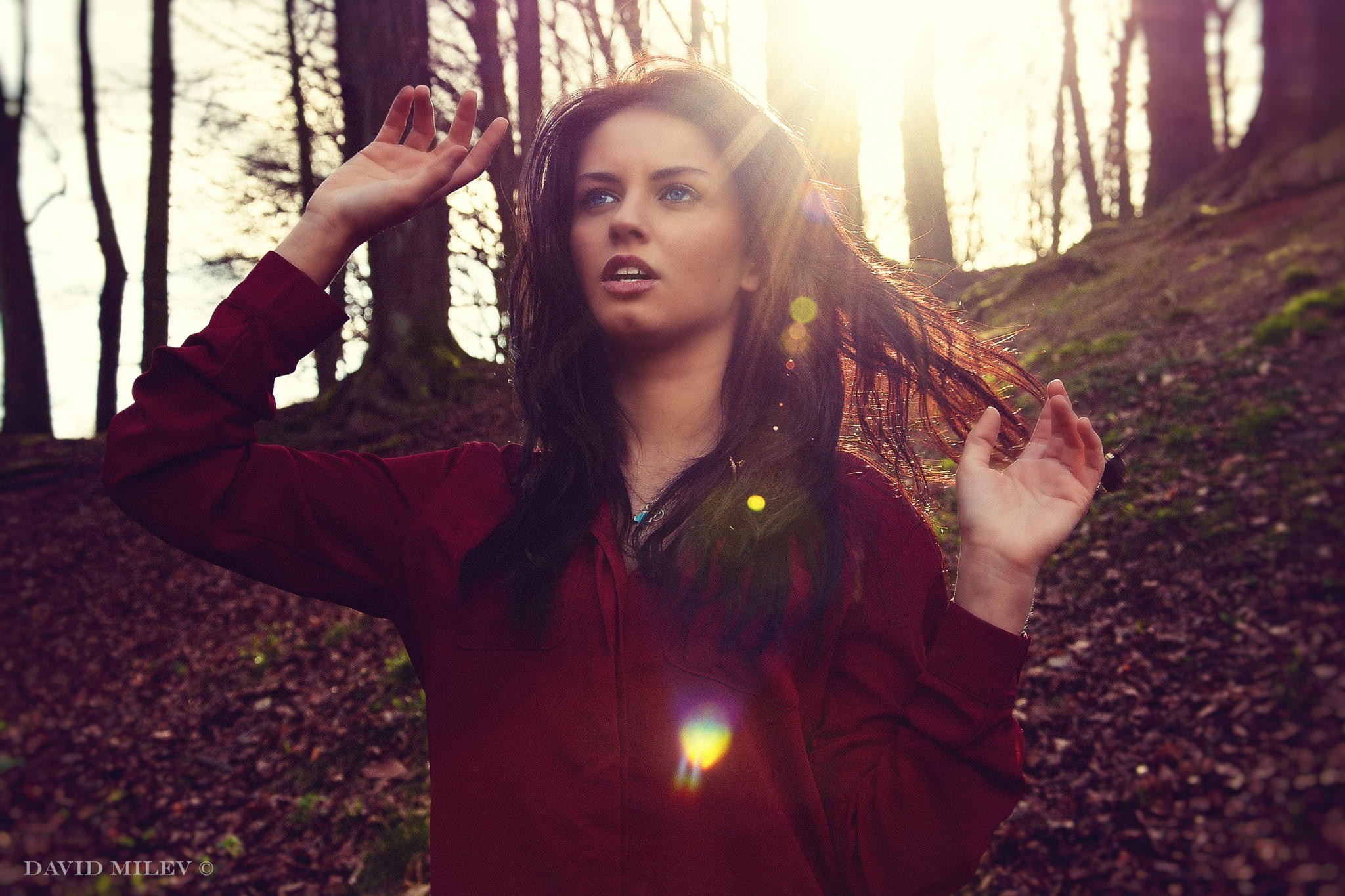 Woman with blue eyes in a forest during autumn HD Wallpaper