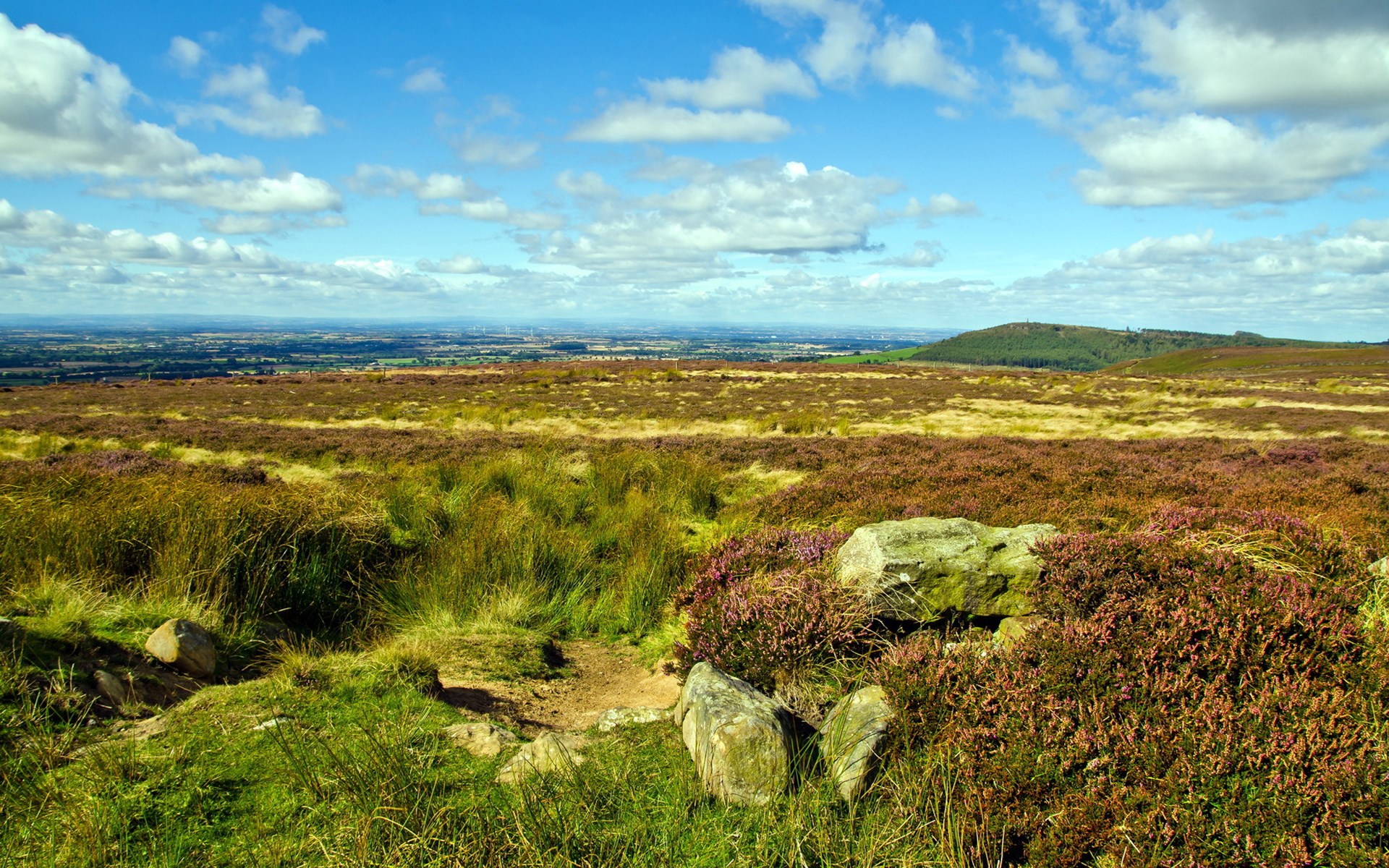 Heather moorland with distant town and hills HD Wallpaper