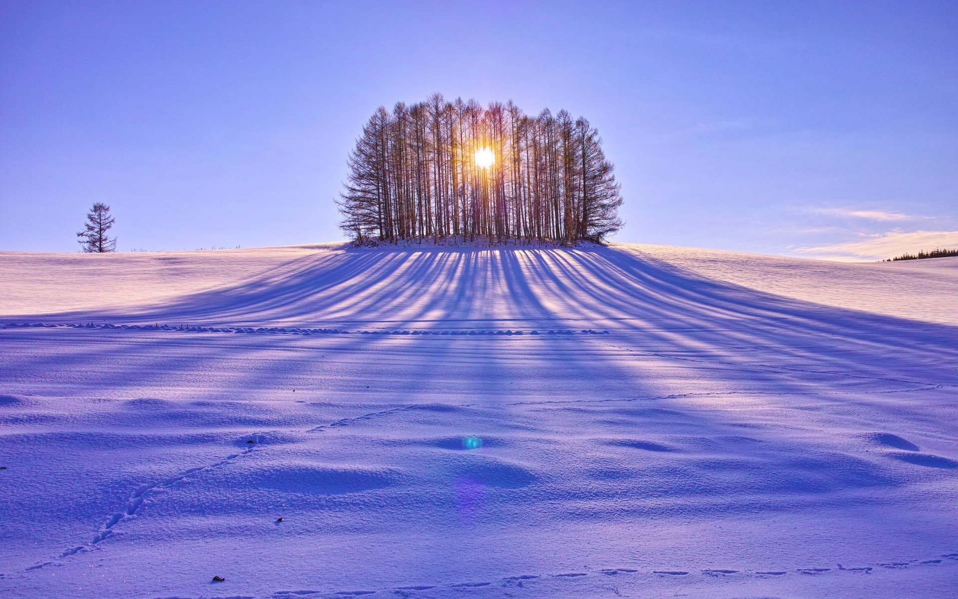 Winter landscape with trees and sunbeams HD Wallpaper