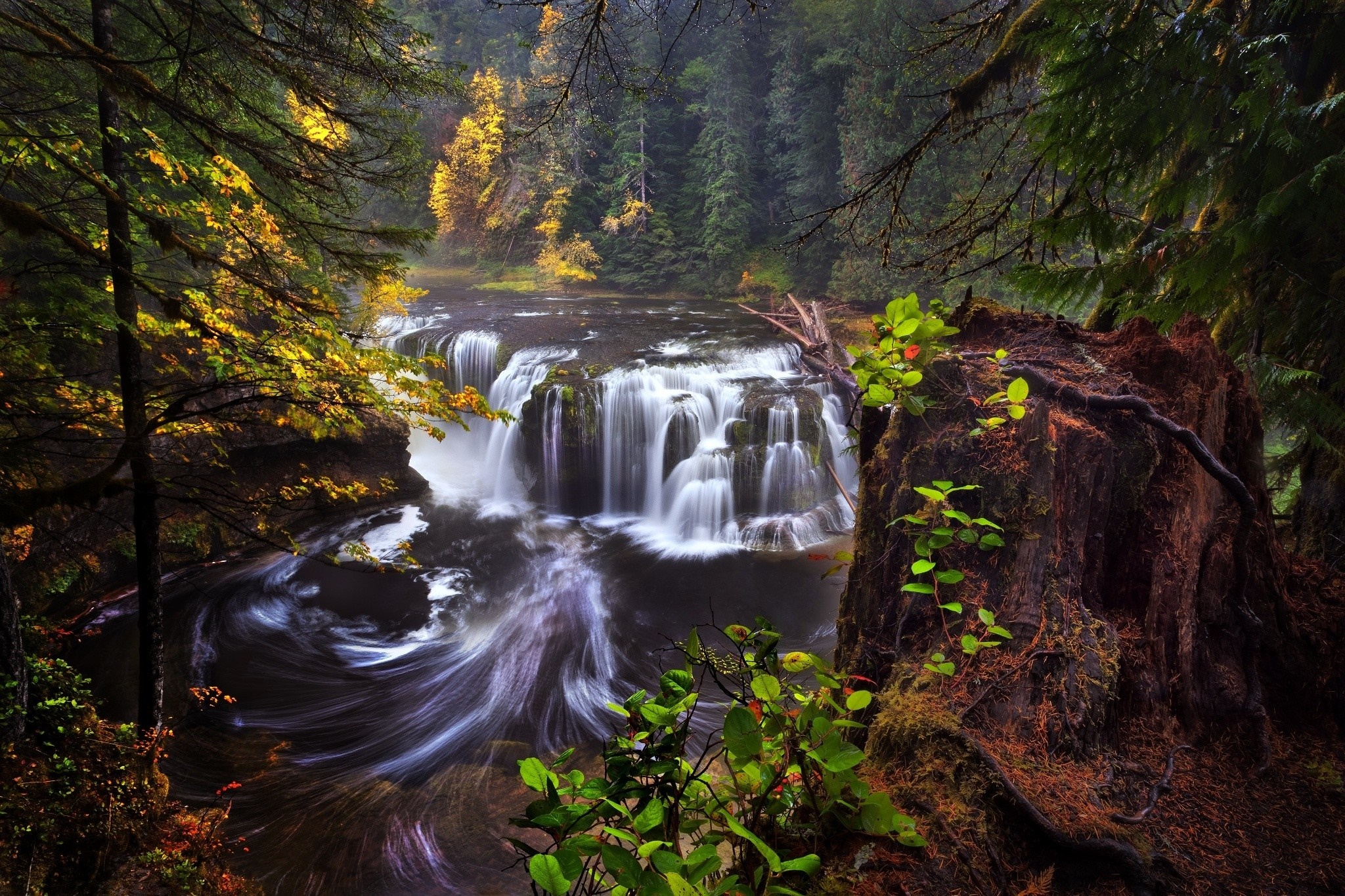 Lower Lewis Falls Waterfall in Autumn Forest HD Wallpaper
