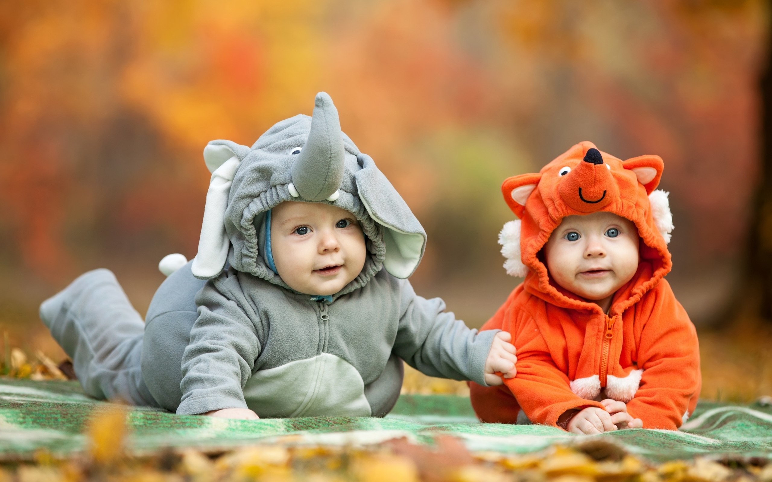 Two babies in animal costumes in autumn HD Wallpaper