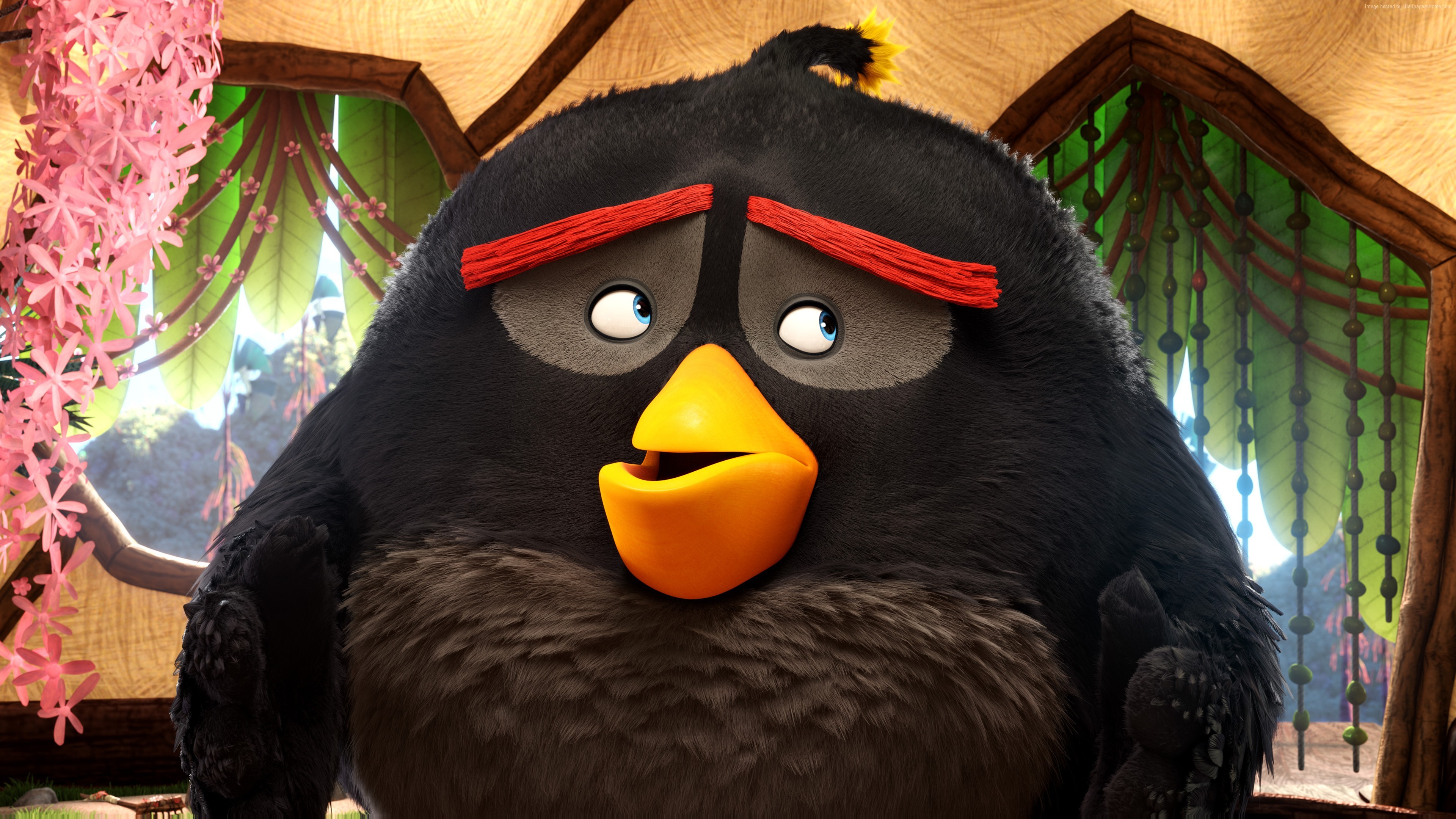 Bomb from The Angry Birds Movie HD Wallpaper