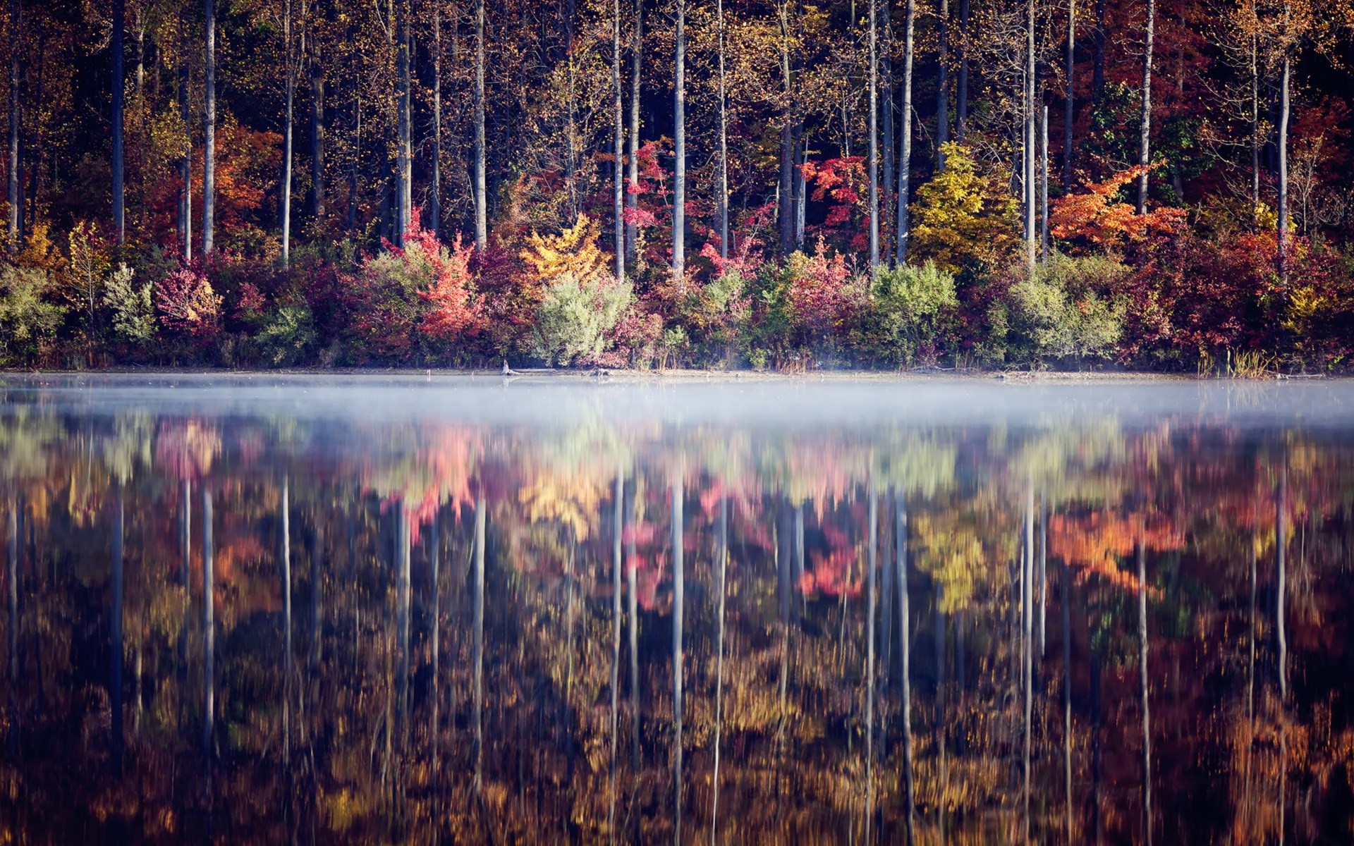 Autumn forest reflected in a misty lake HD Wallpaper