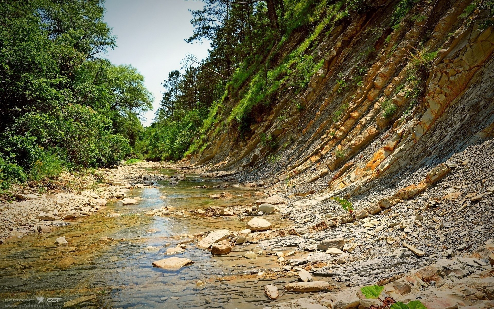 Rocky stream bed with layered rock formations and trees HD Wallpaper