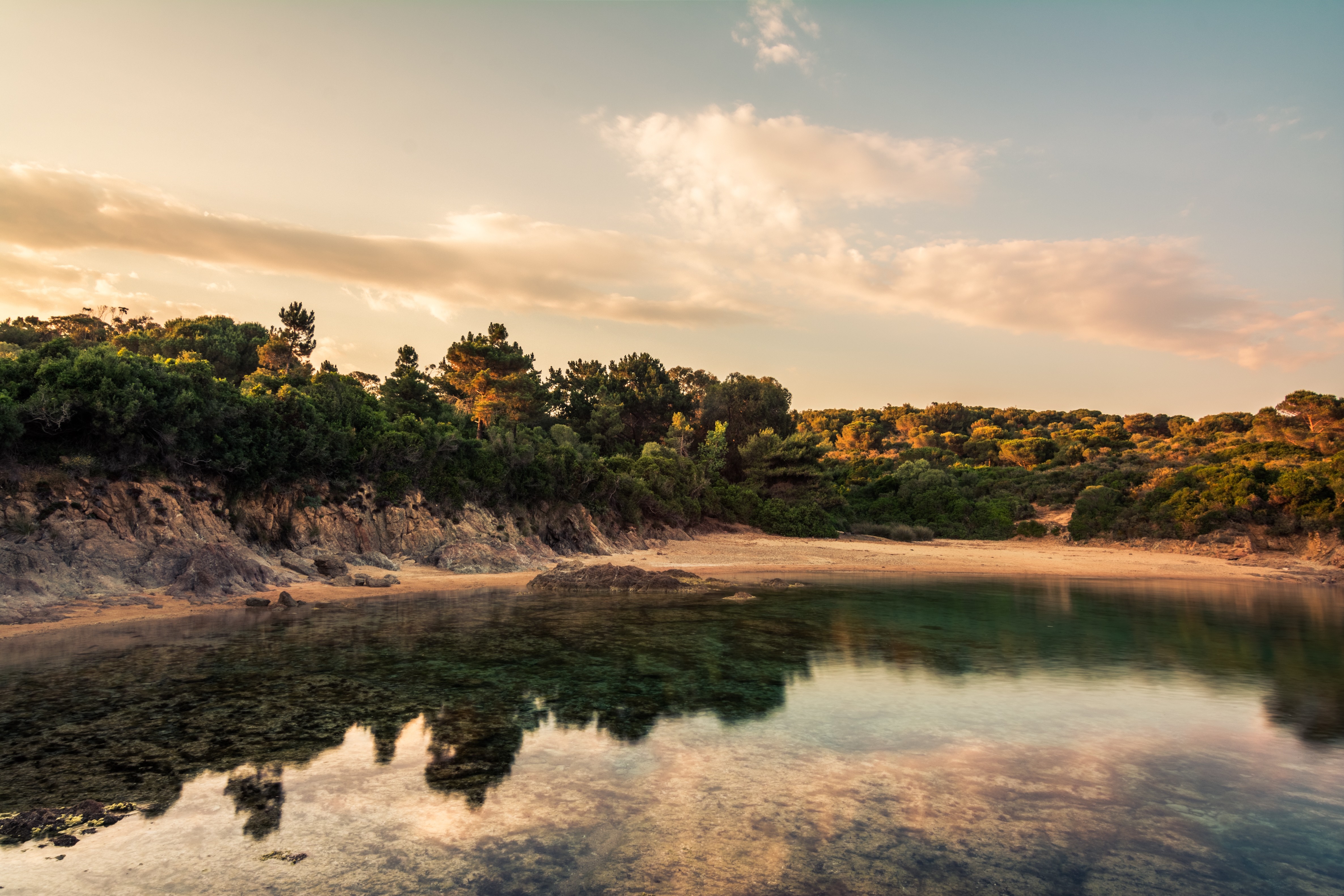 Coastal landscape with trees and water at sunset HD Wallpaper