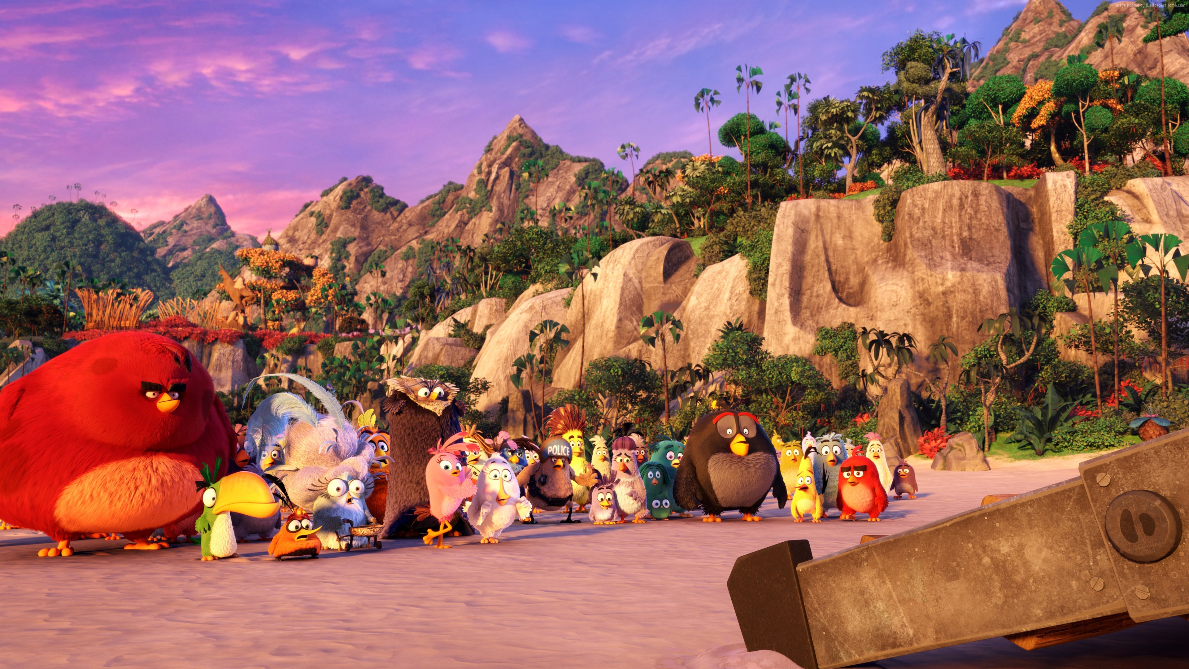 The Angry Birds Movie characters on a beach HD Wallpaper