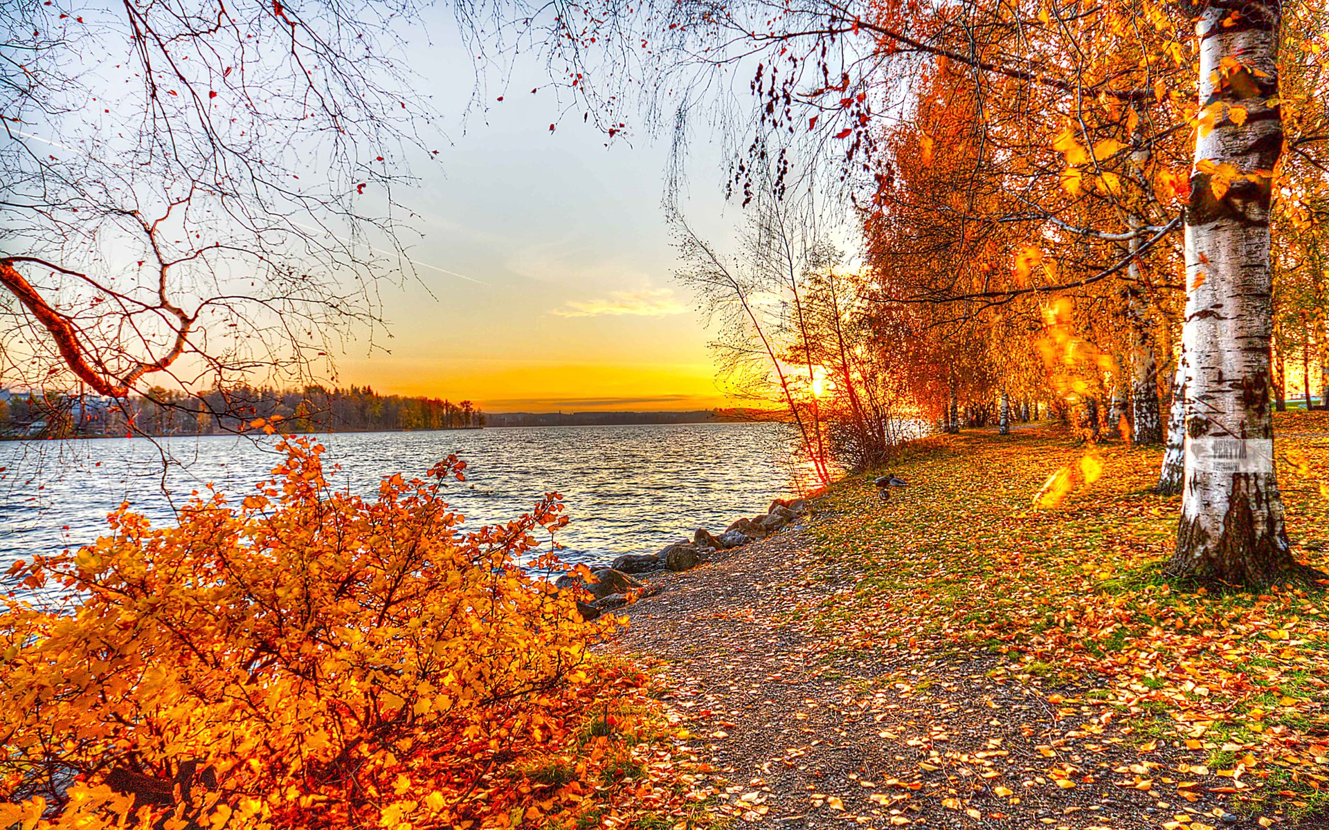 Autumn sunset over a lake with trees and a path HD Wallpaper
