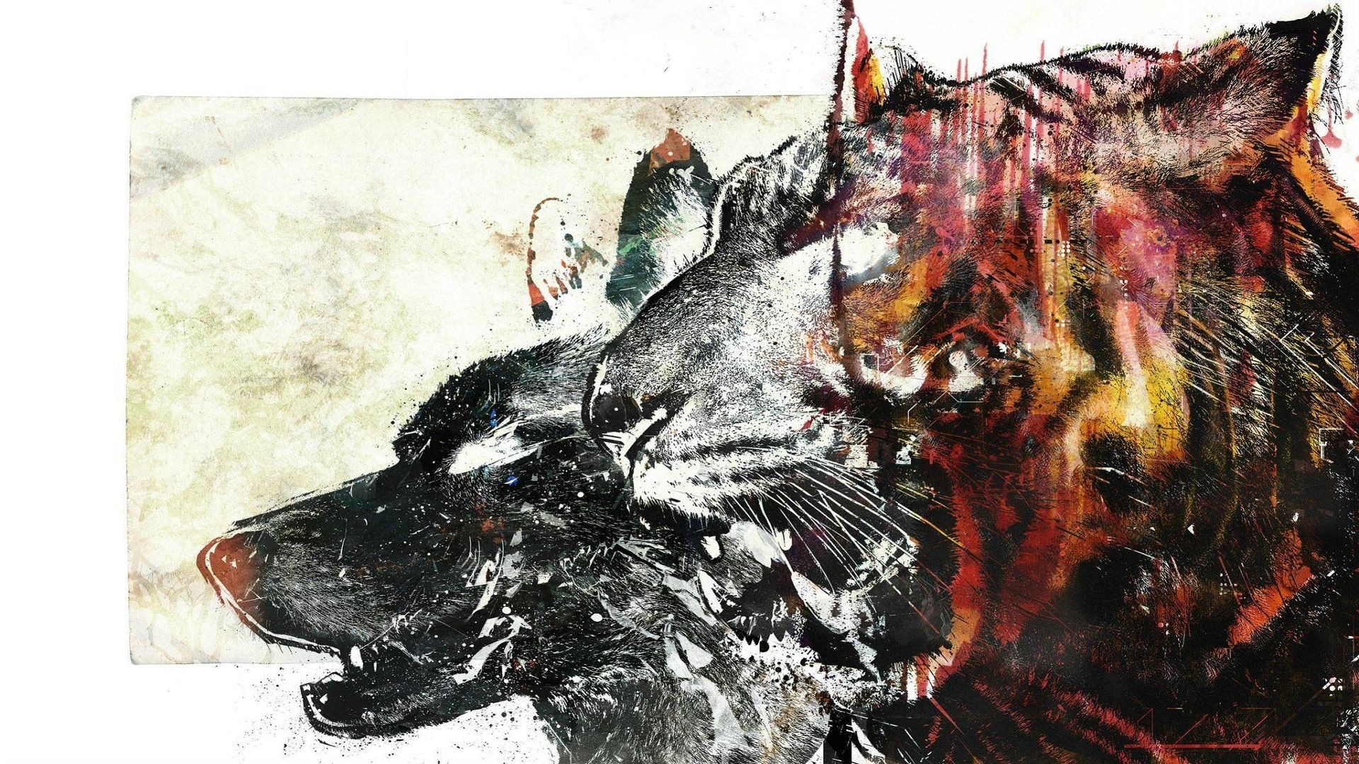 Wolf and Tiger hybrid painting HD Wallpaper