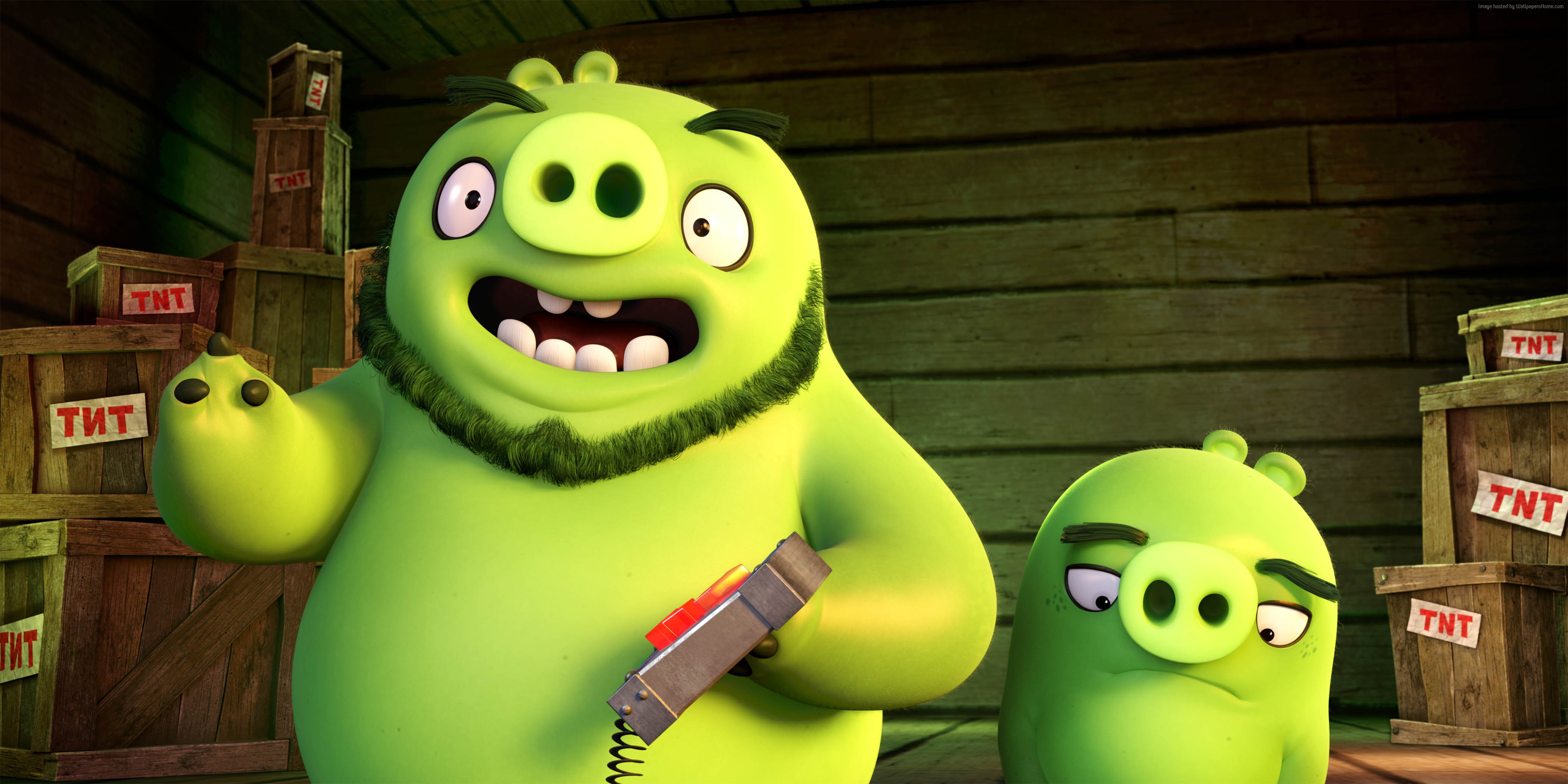  112591 Family Animation 2016 Green Pigs Angry Birds Rare Gallery 