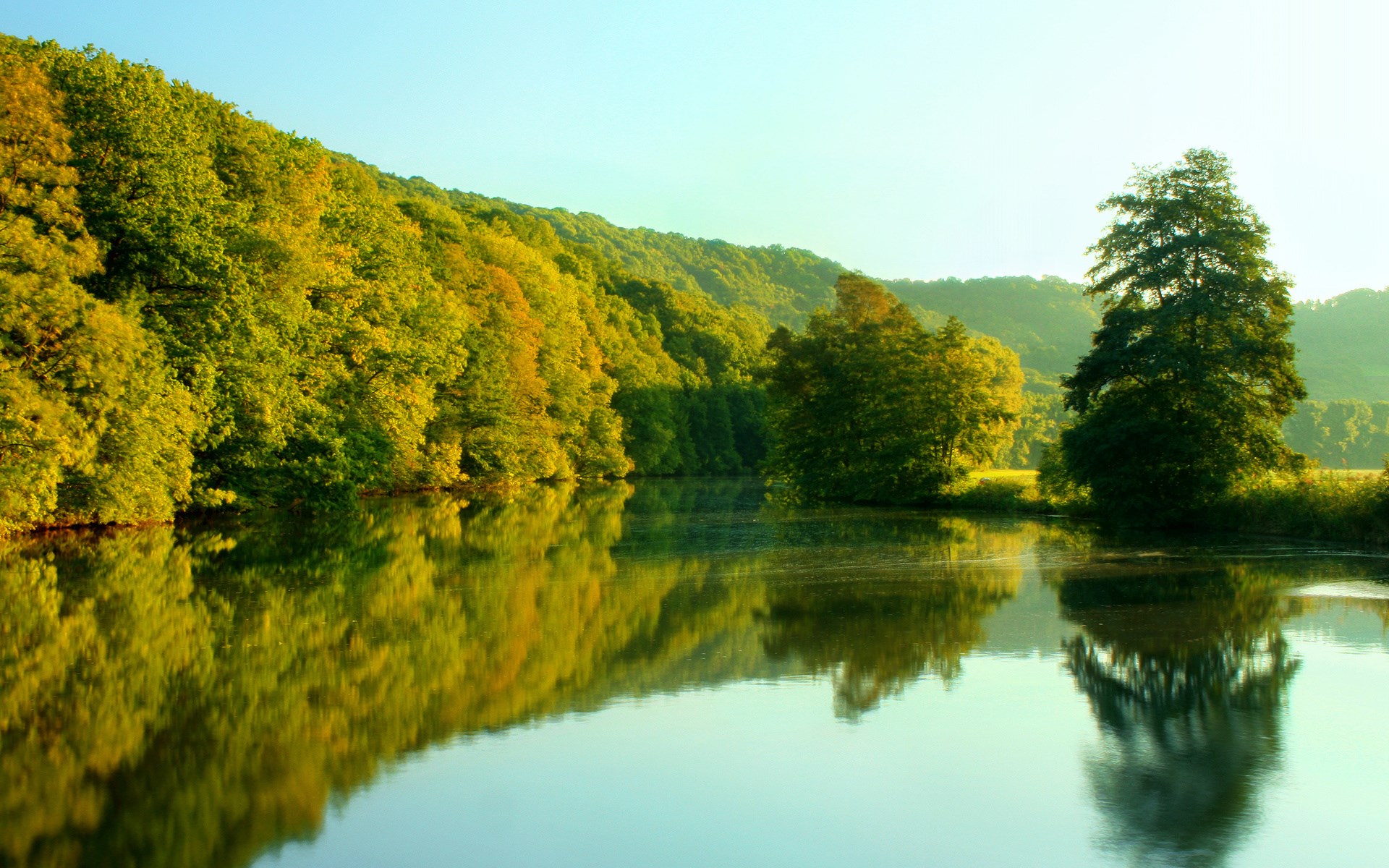 Trees reflected in a calm lake at sunrise HD Wallpaper