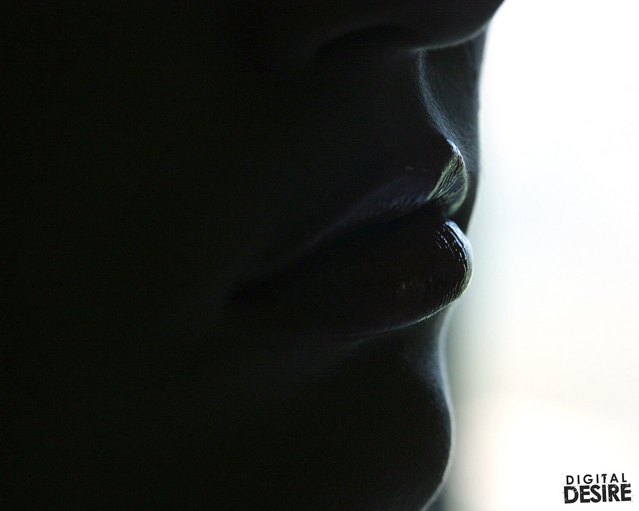Close up of lips and nose in shadow HD Wallpaper