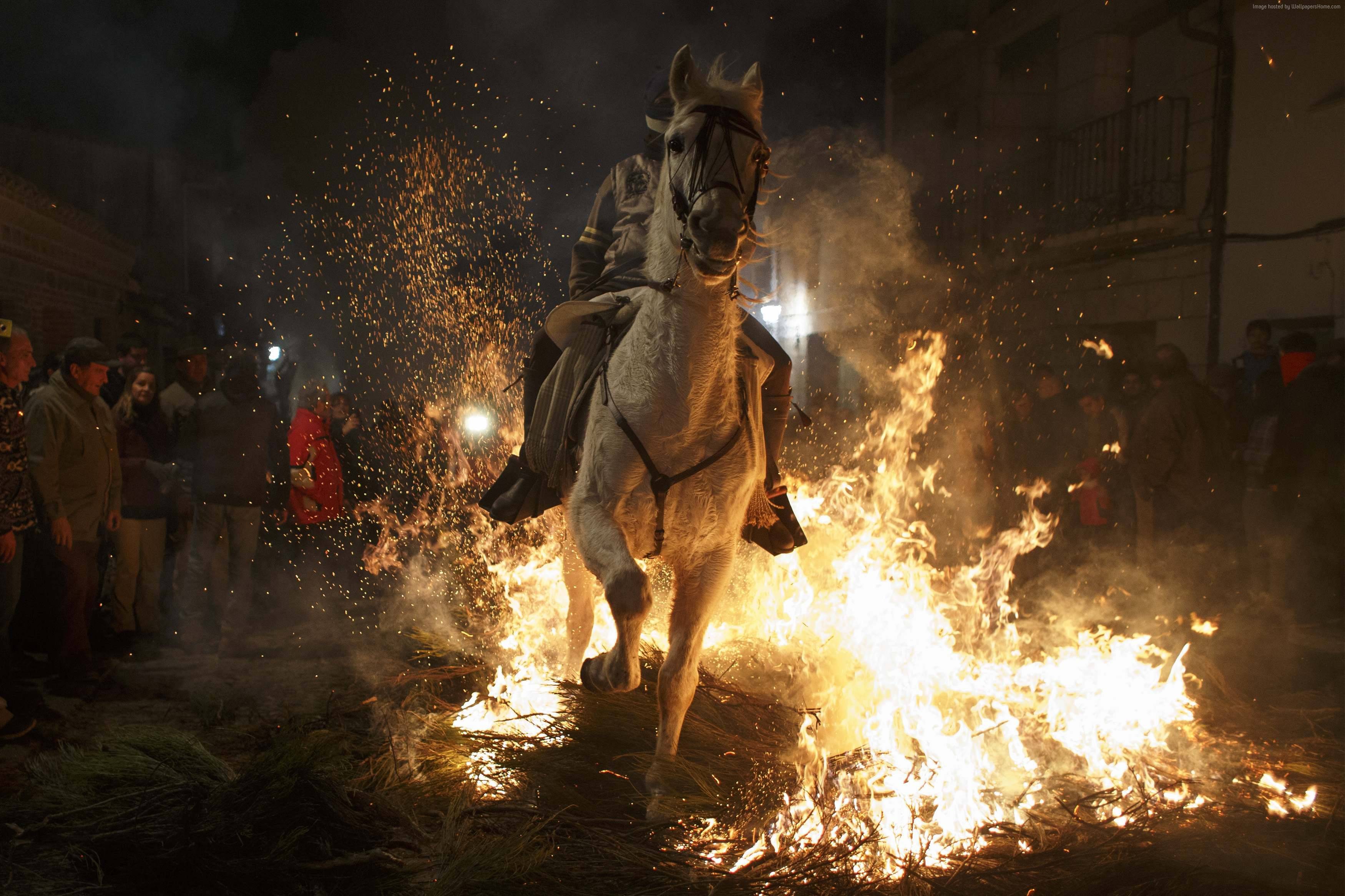 Man riding a horse through fire during a festival HD Wallpaper