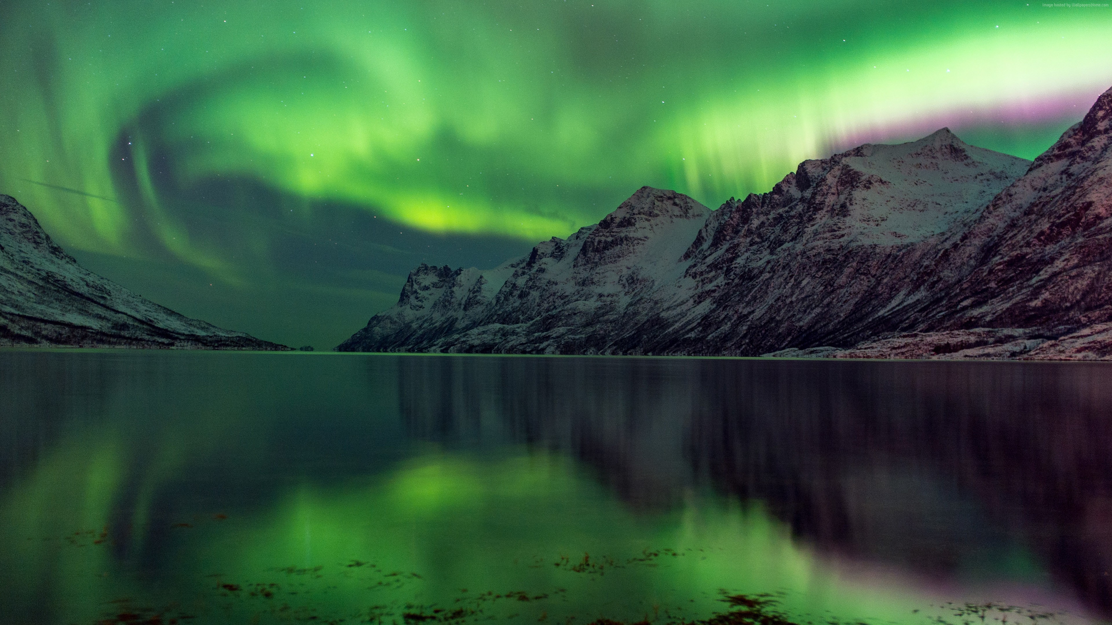 Abisko, 4k, 5k, Sweden, travel, tourism, lake, Aurora Borealis, green, National Park HD Wallpaper