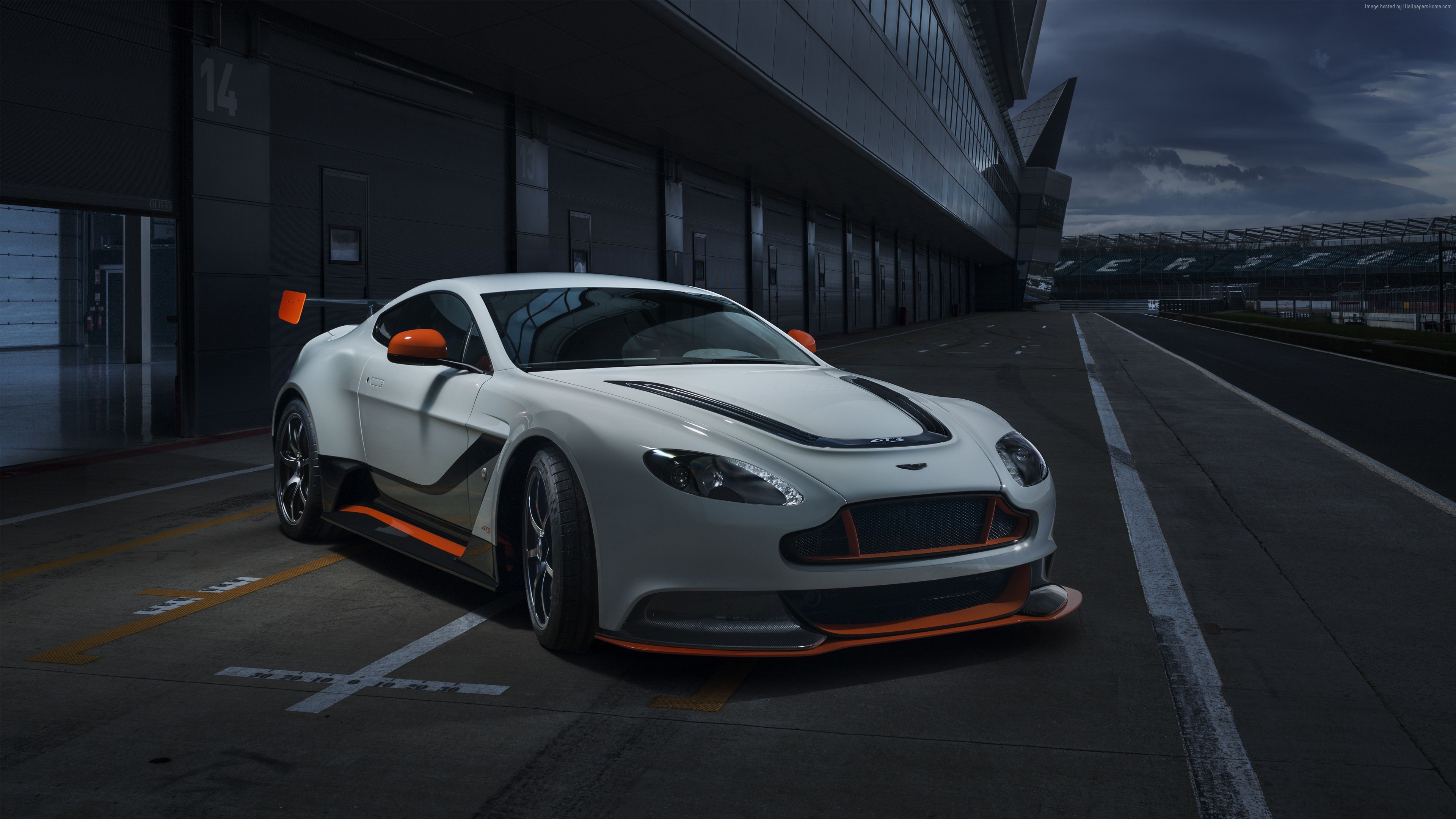 Aston Martin Vantage GT3 on a Race Track HD Wallpaper