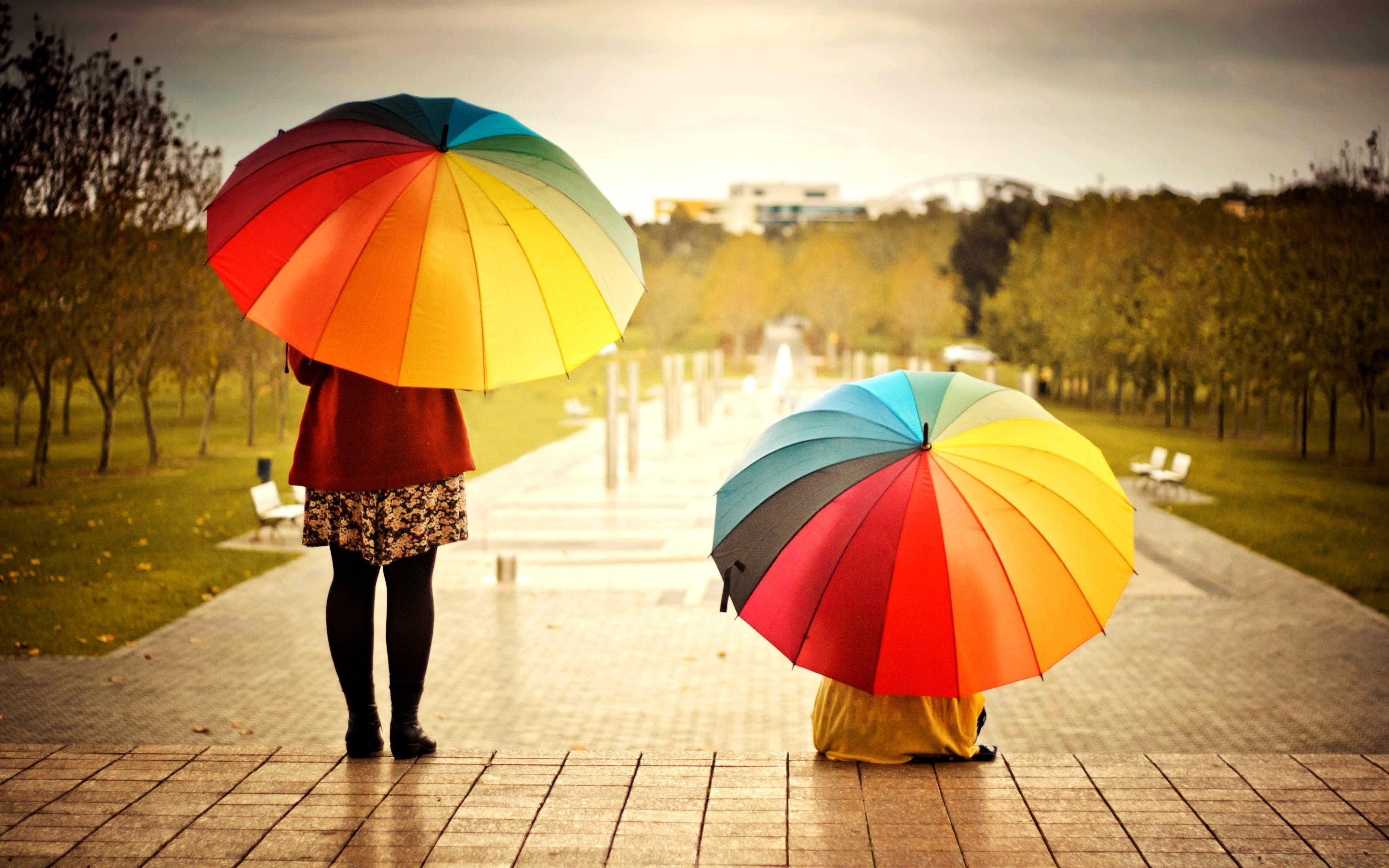 Two people with colorful umbrellas in autumn park HD Wallpaper
